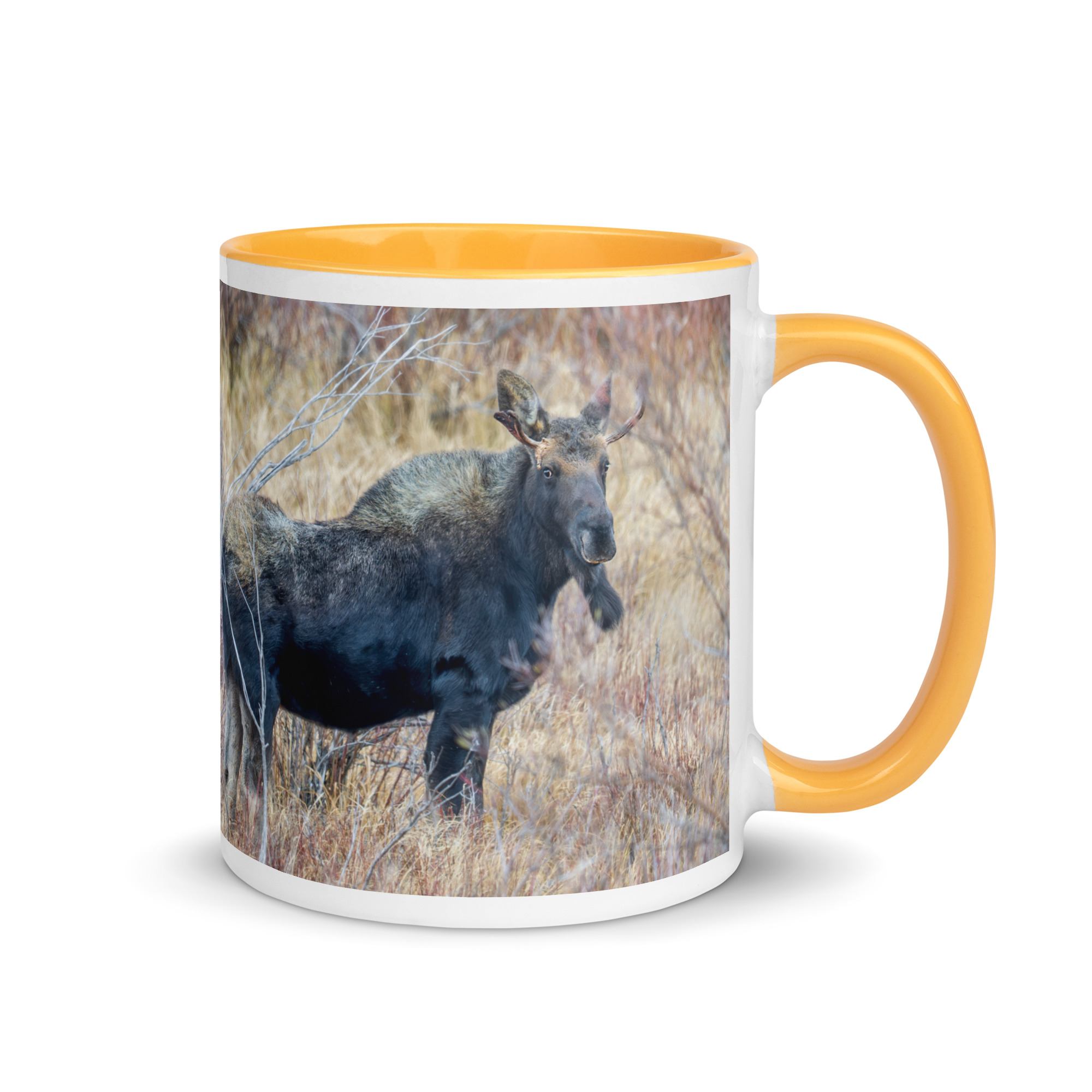 Moose Amidst Autumn Shrubs! Mug with Color Inside - Image 22