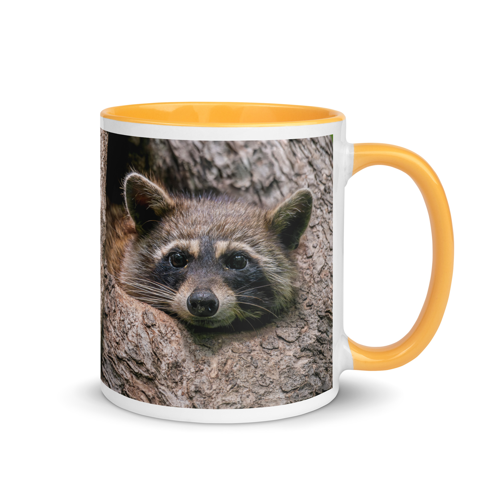 Curious Mama Racoon guarding its den! Mug with Color Inside - Image 22