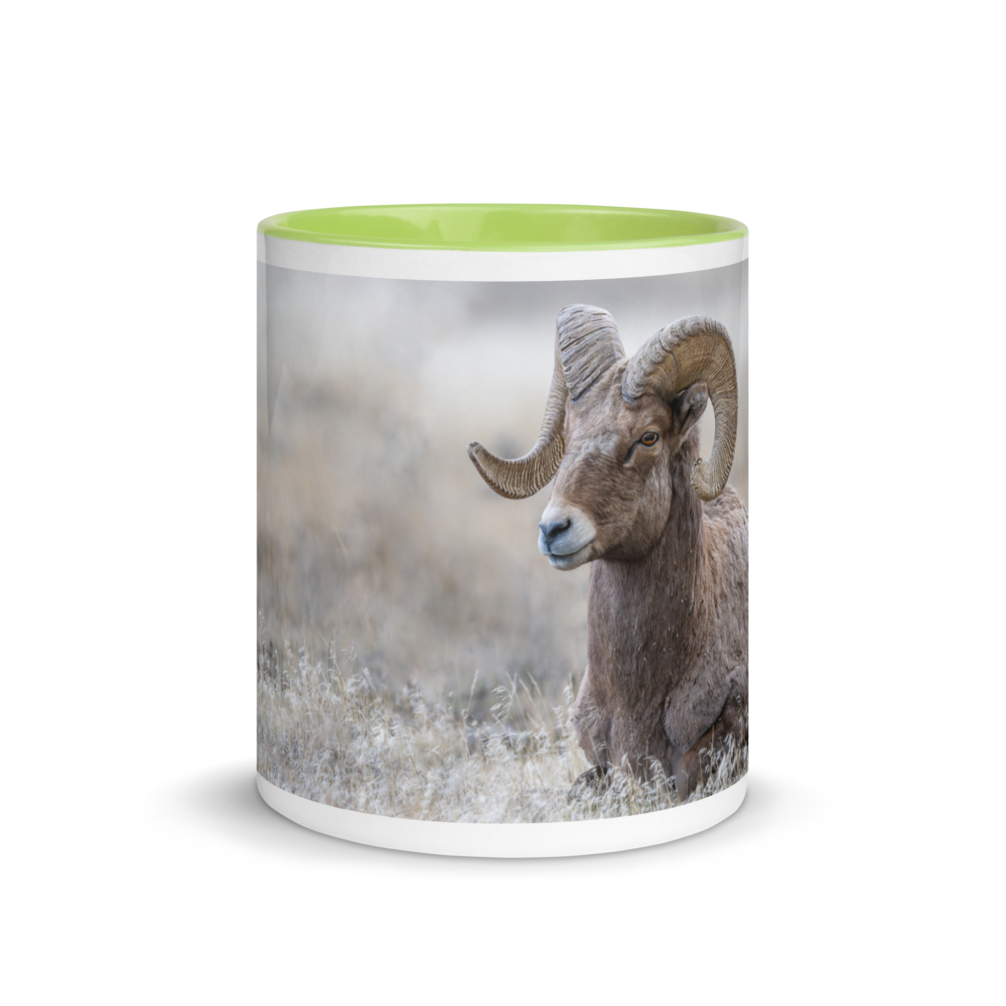 Relaxing Ram Big Horn Sheep! Mug with Color Inside - Image 36