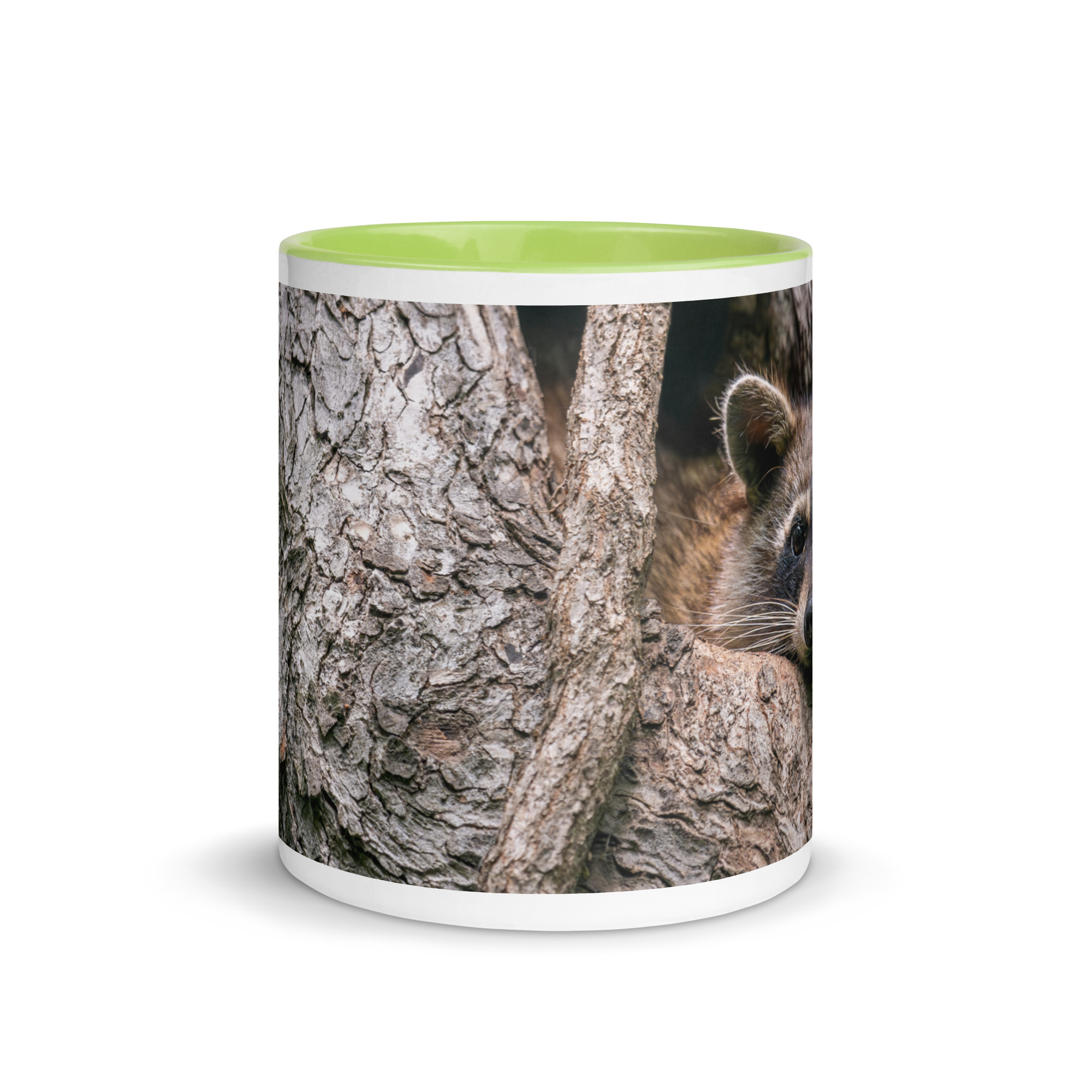 Curious Mama Racoon guarding its den! Mug with Color Inside - Image 26