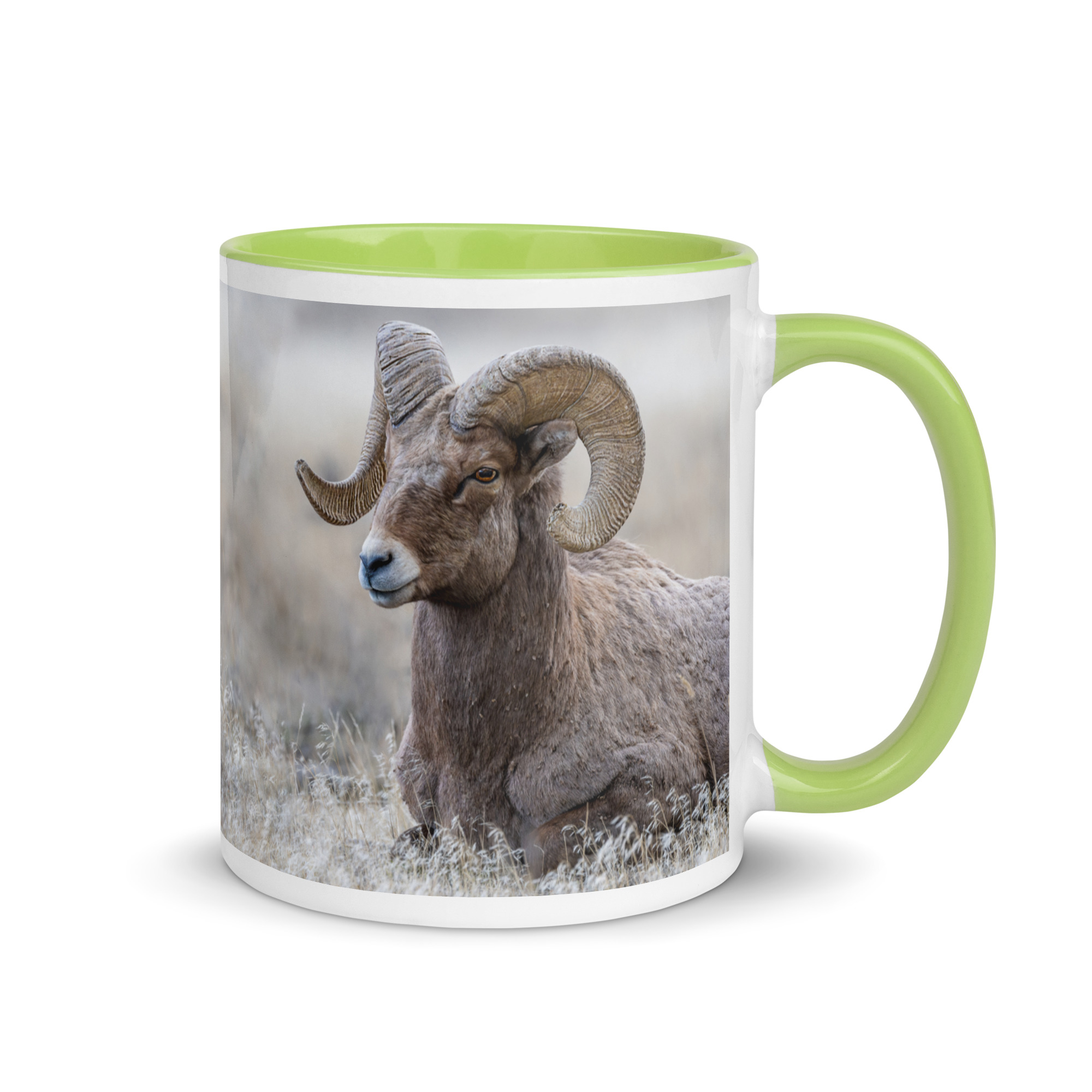 Relaxing Ram Big Horn Sheep! Mug with Color Inside - Image 64