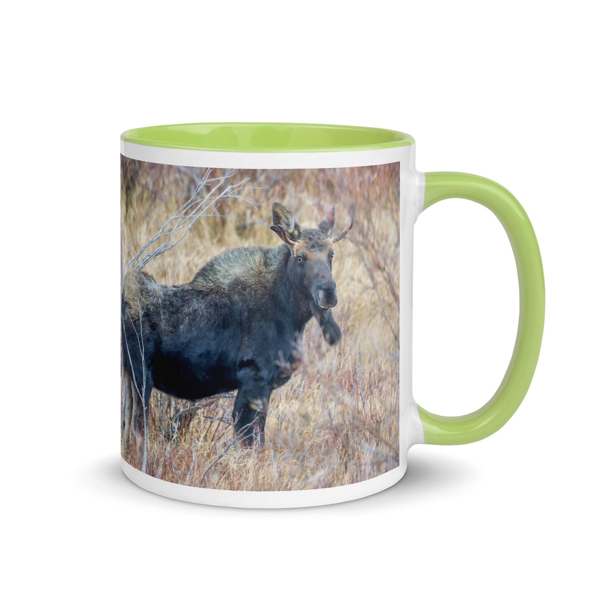 Moose Amidst Autumn Shrubs! Mug with Color Inside - Image 25