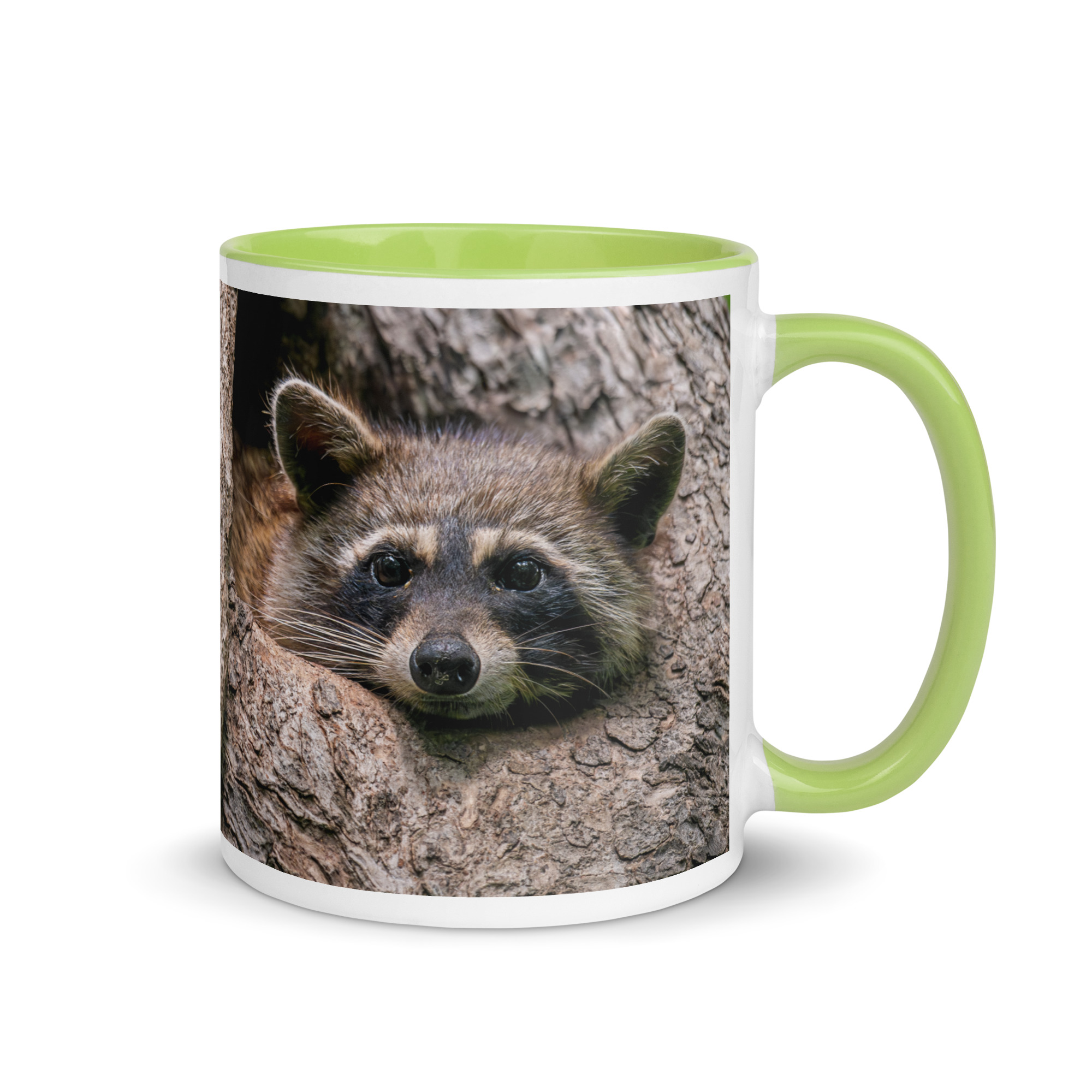 Curious Mama Racoon guarding its den! Mug with Color Inside - Image 25