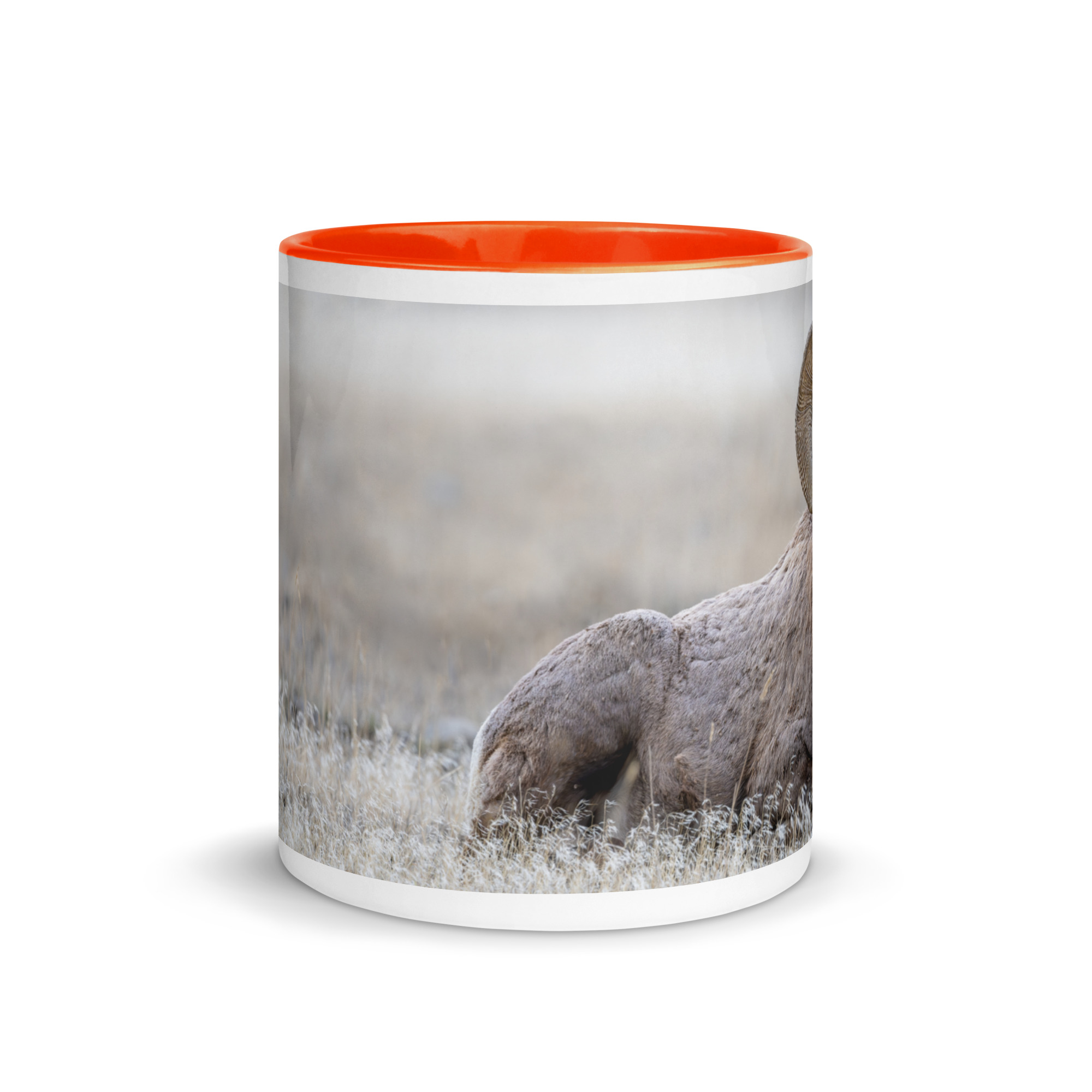 Relaxing Ram Big Horn Sheep! Mug with Color Inside - Image 8