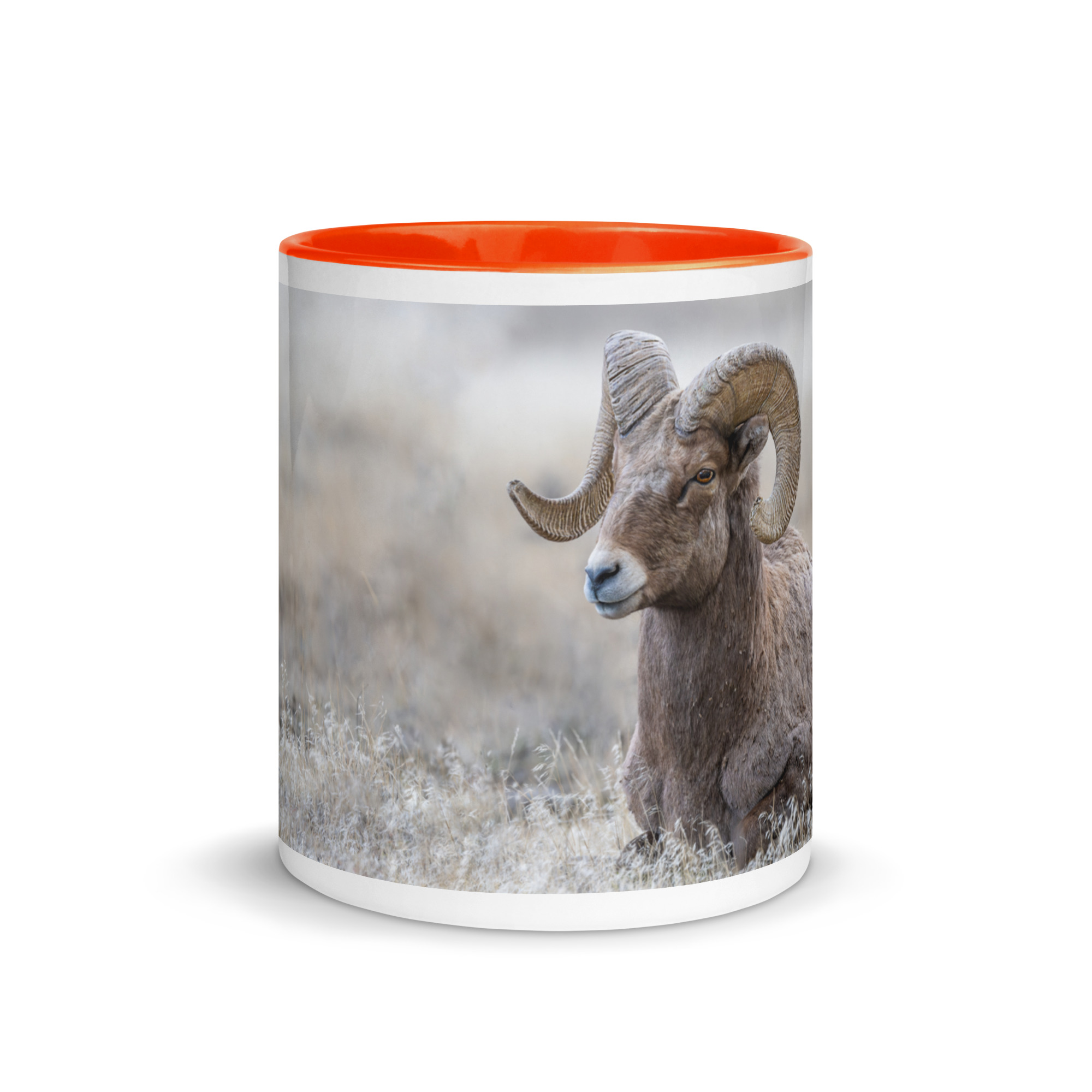 Relaxing Ram Big Horn Sheep! Mug with Color Inside - Image 28