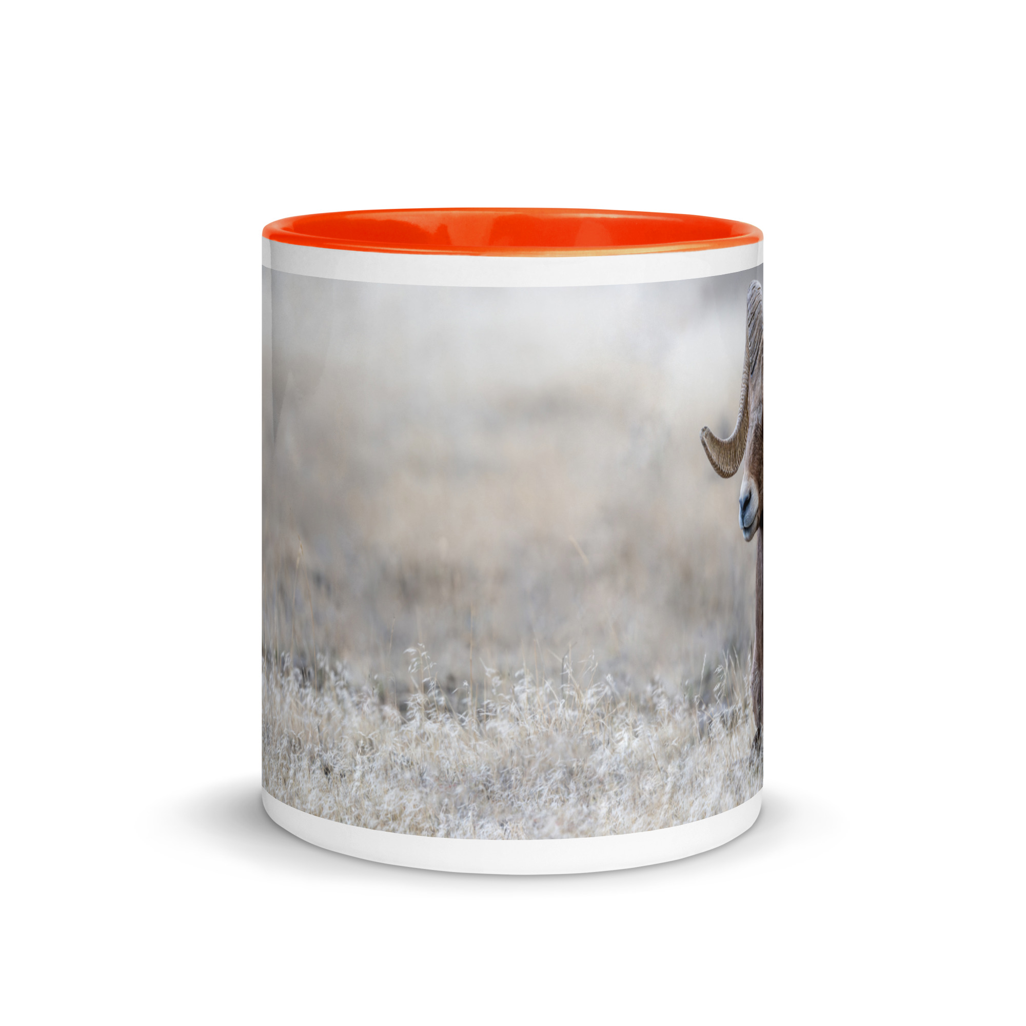 Relaxing Ram Big Horn Sheep! Mug with Color Inside - Image 53