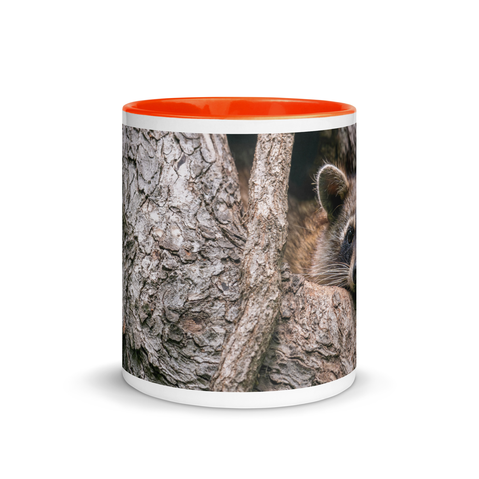 Curious Mama Racoon guarding its den! Mug with Color Inside - Image 14