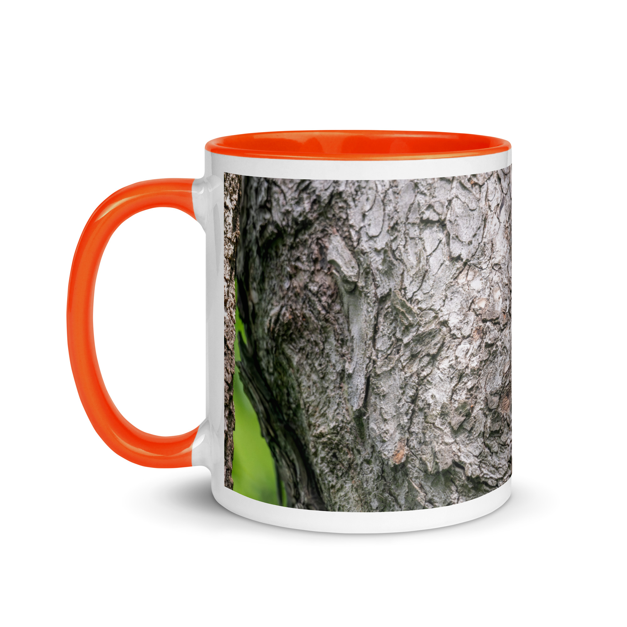 Curious Mama Racoon guarding its den! Mug with Color Inside - Image 15
