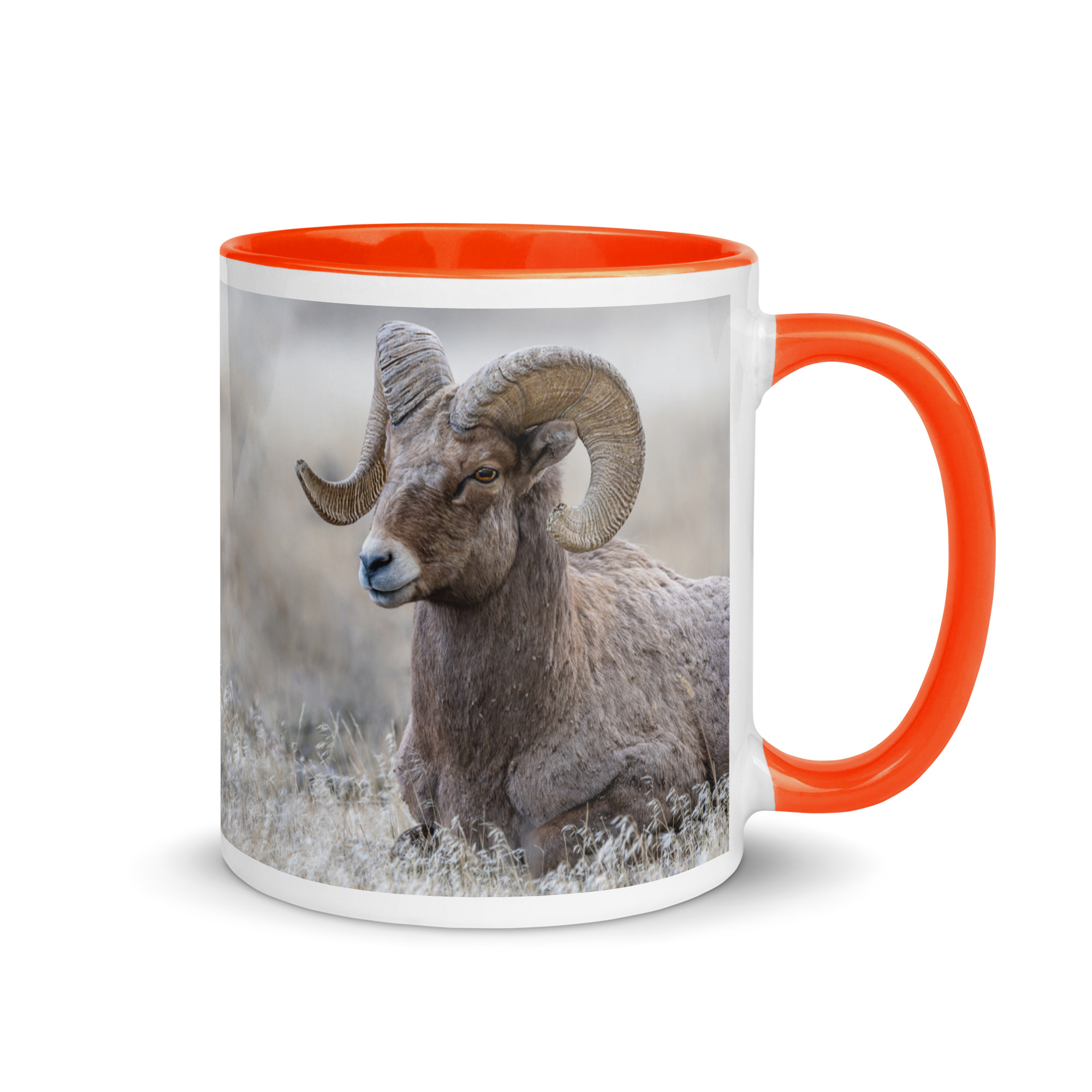 Relaxing Ram Big Horn Sheep! Mug with Color Inside - Image 52