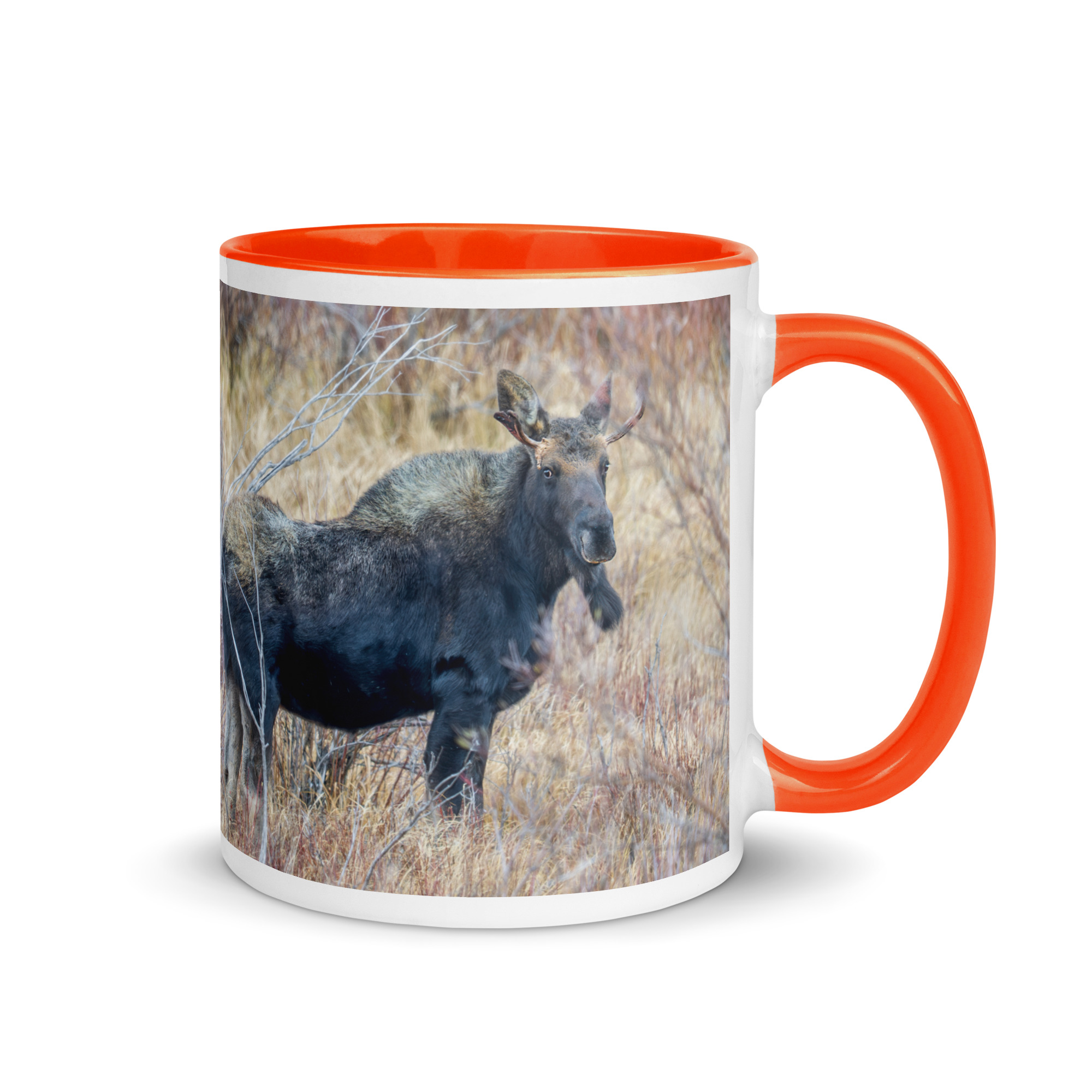 Moose Amidst Autumn Shrubs! Mug with Color Inside - Image 13