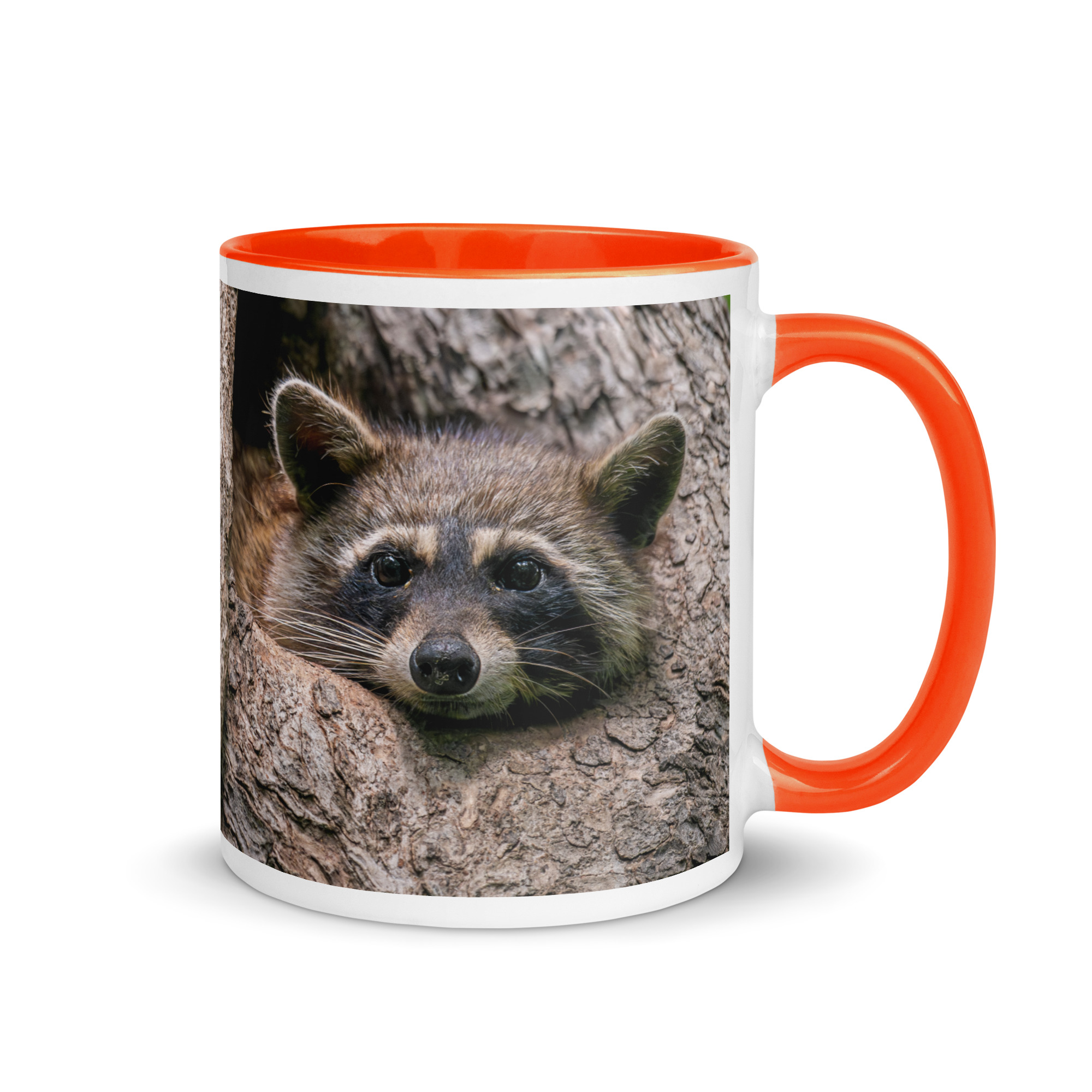 Curious Mama Racoon guarding its den! Mug with Color Inside - Image 13