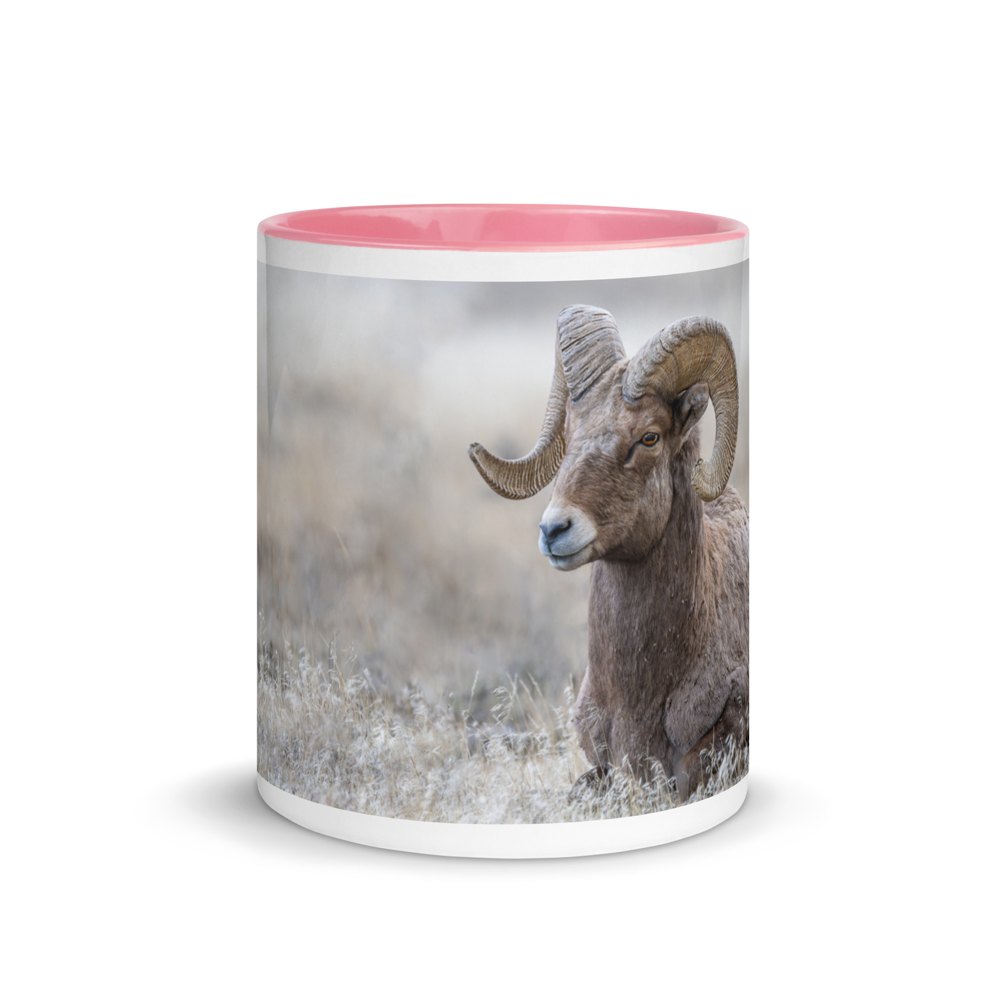 Relaxing Ram Big Horn Sheep! Mug with Color Inside - Image 32
