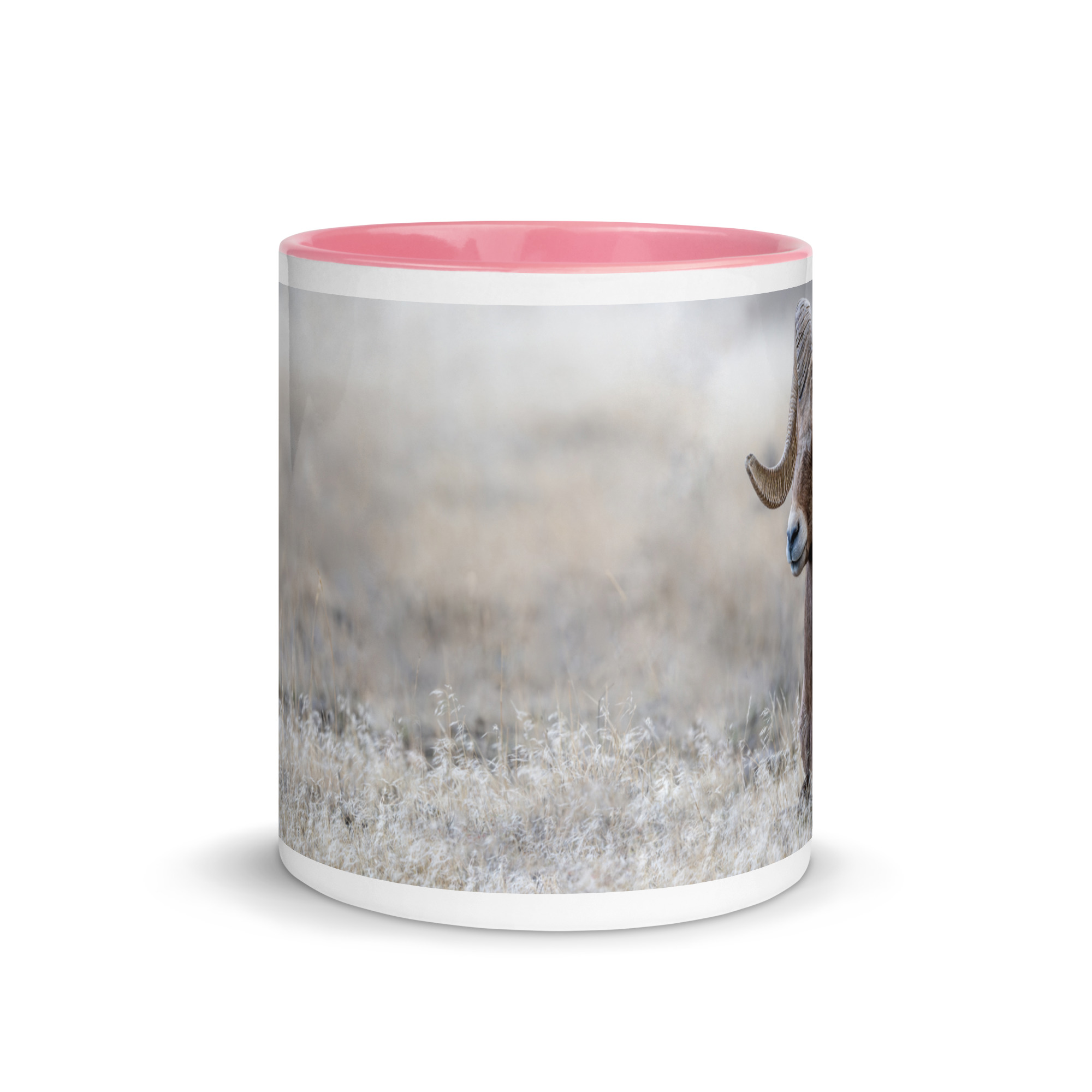 Relaxing Ram Big Horn Sheep! Mug with Color Inside - Image 59