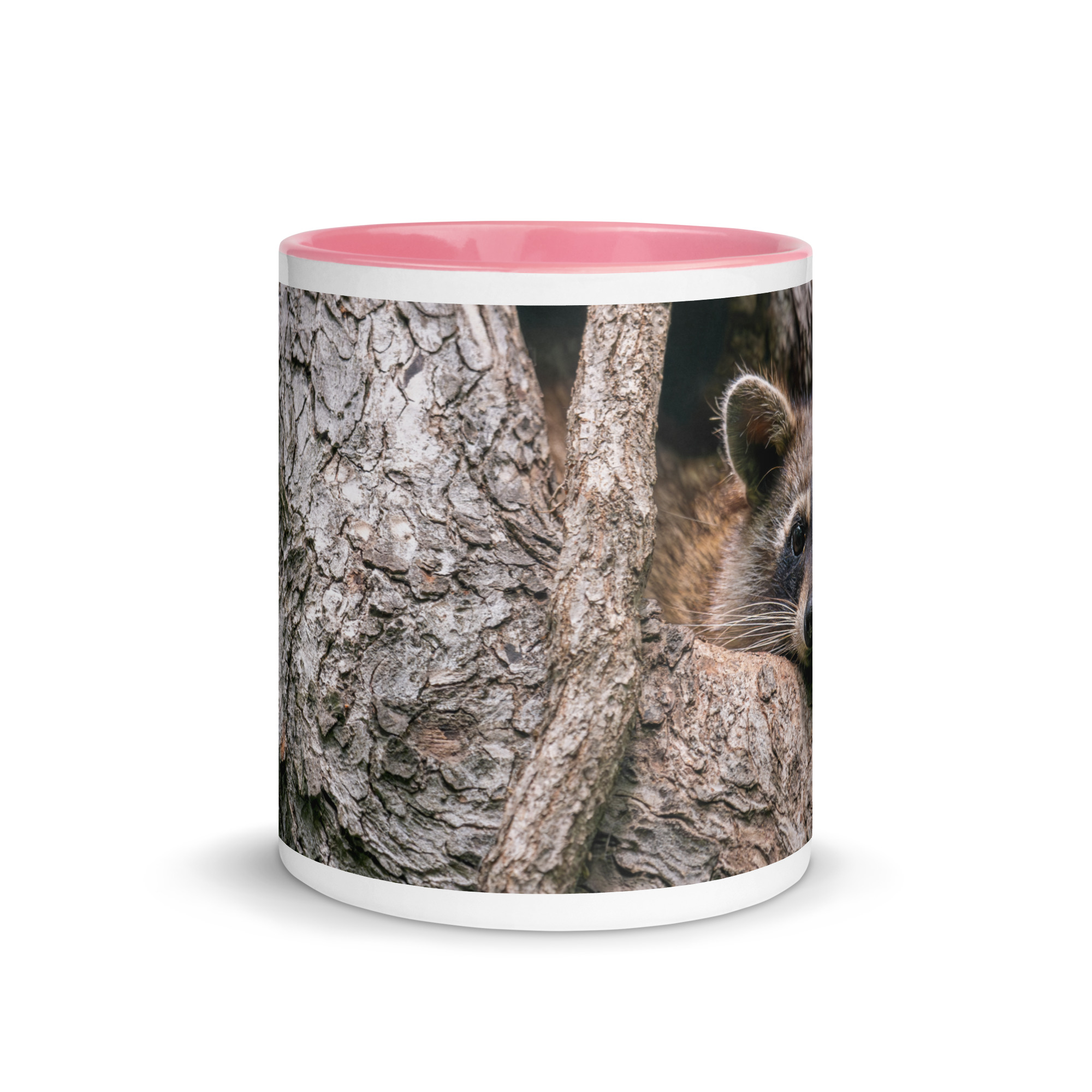 Curious Mama Racoon guarding its den! Mug with Color Inside - Image 20