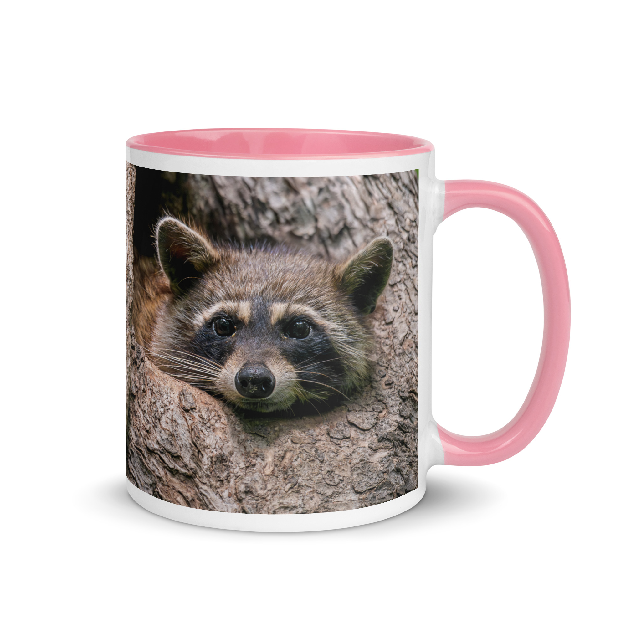 Curious Mama Racoon guarding its den! Mug with Color Inside - Image 19
