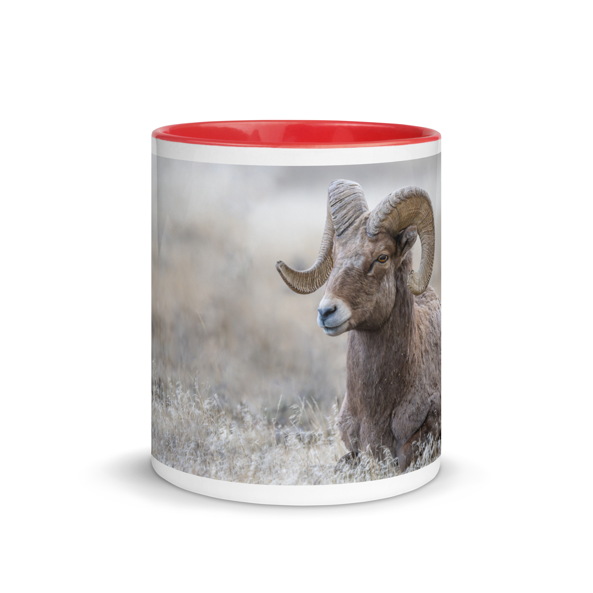 Relaxing Ram Big Horn Sheep! Mug with Color Inside - Image 24