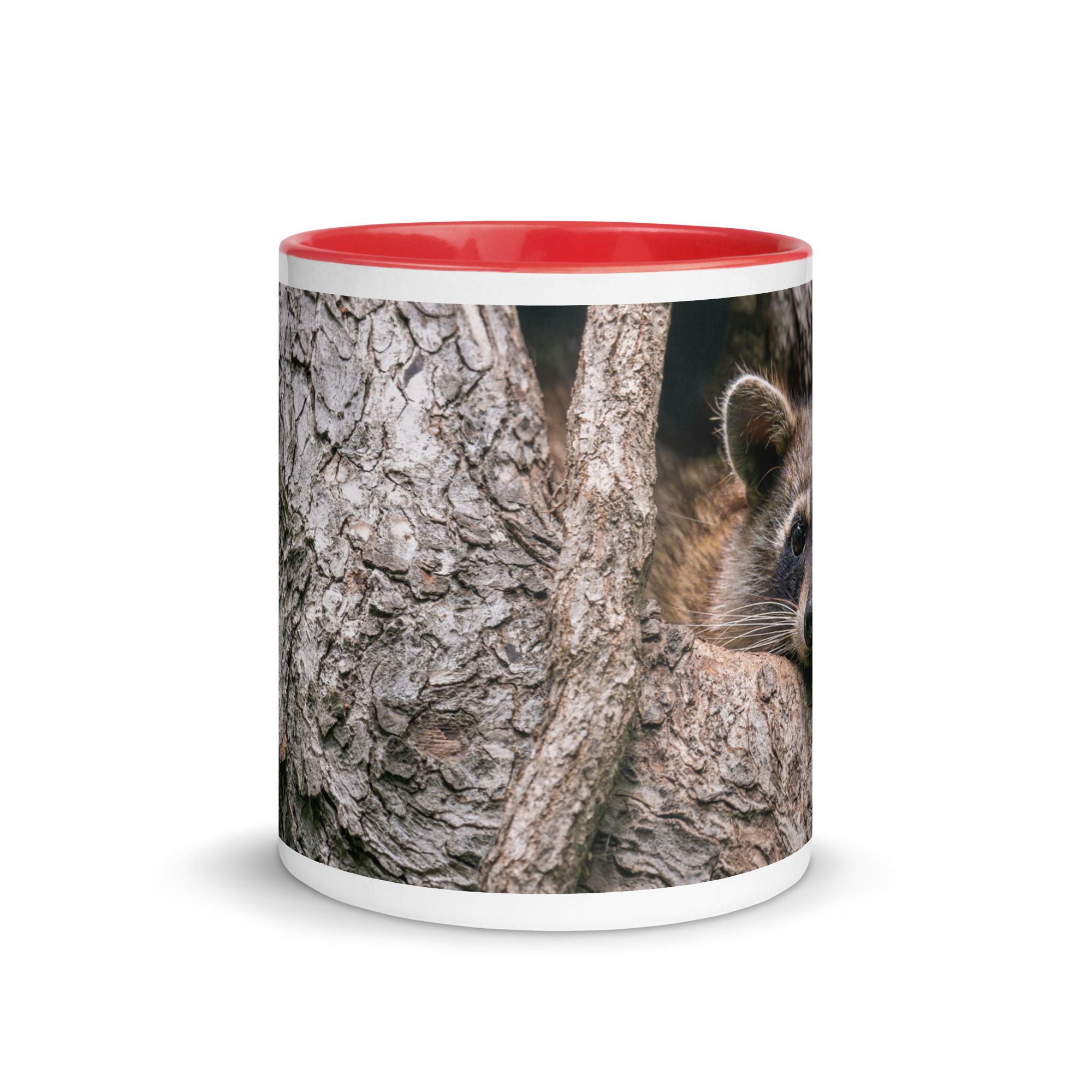 Curious Mama Racoon guarding its den! Mug with Color Inside - Image 8