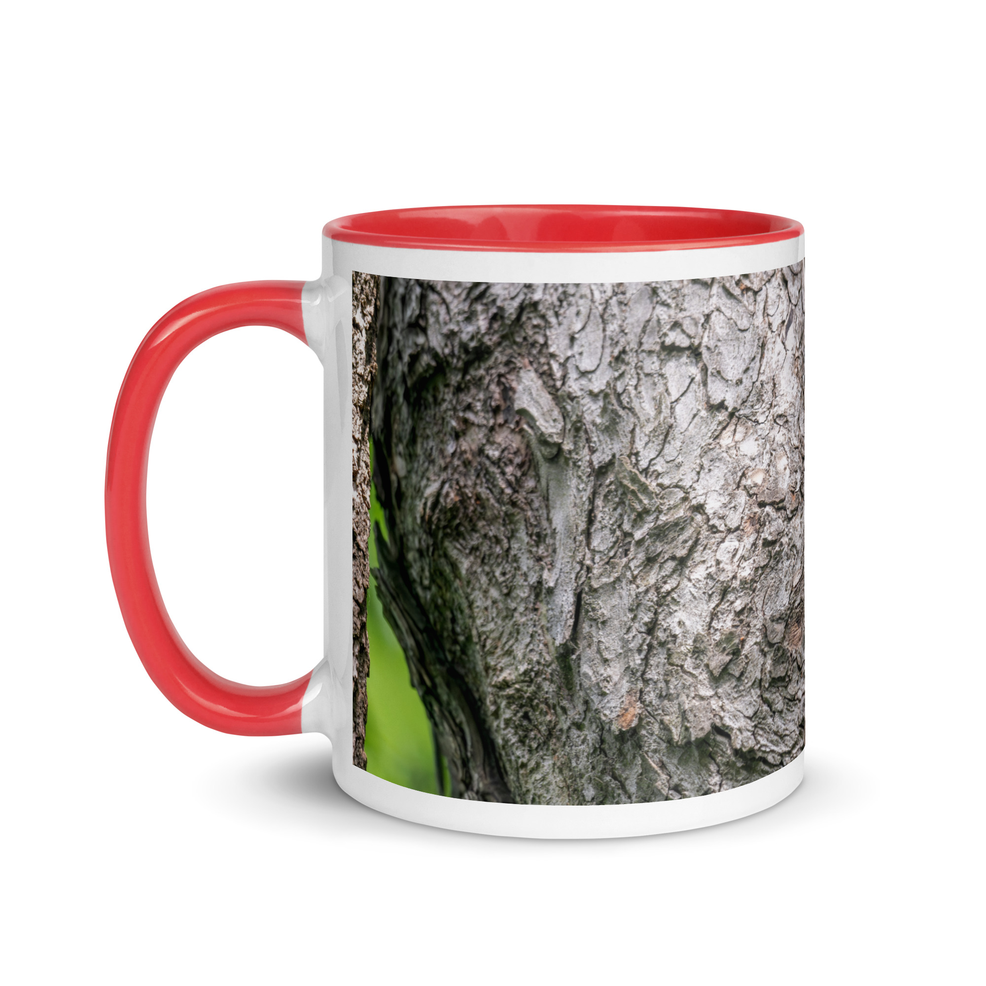 Curious Mama Racoon guarding its den! Mug with Color Inside - Image 9