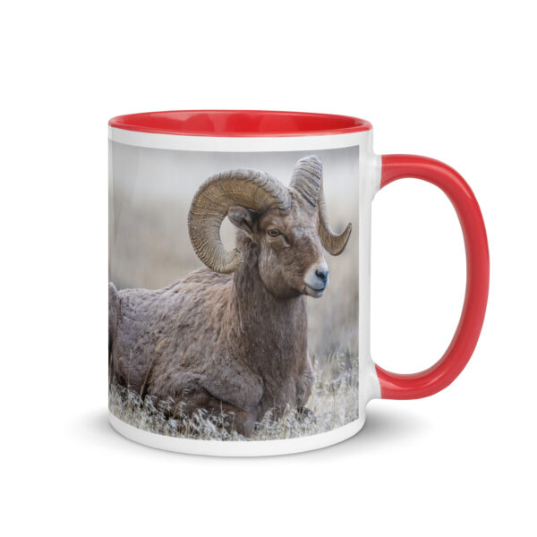 Relaxing Ram Big Horn Sheep! Mug with Color Inside