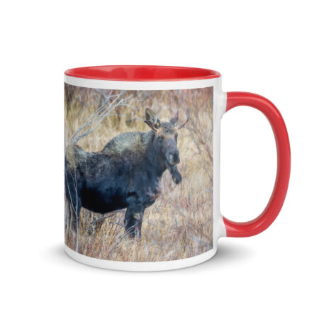 Moose Amidst Autumn Shrubs! Mug with Color Inside