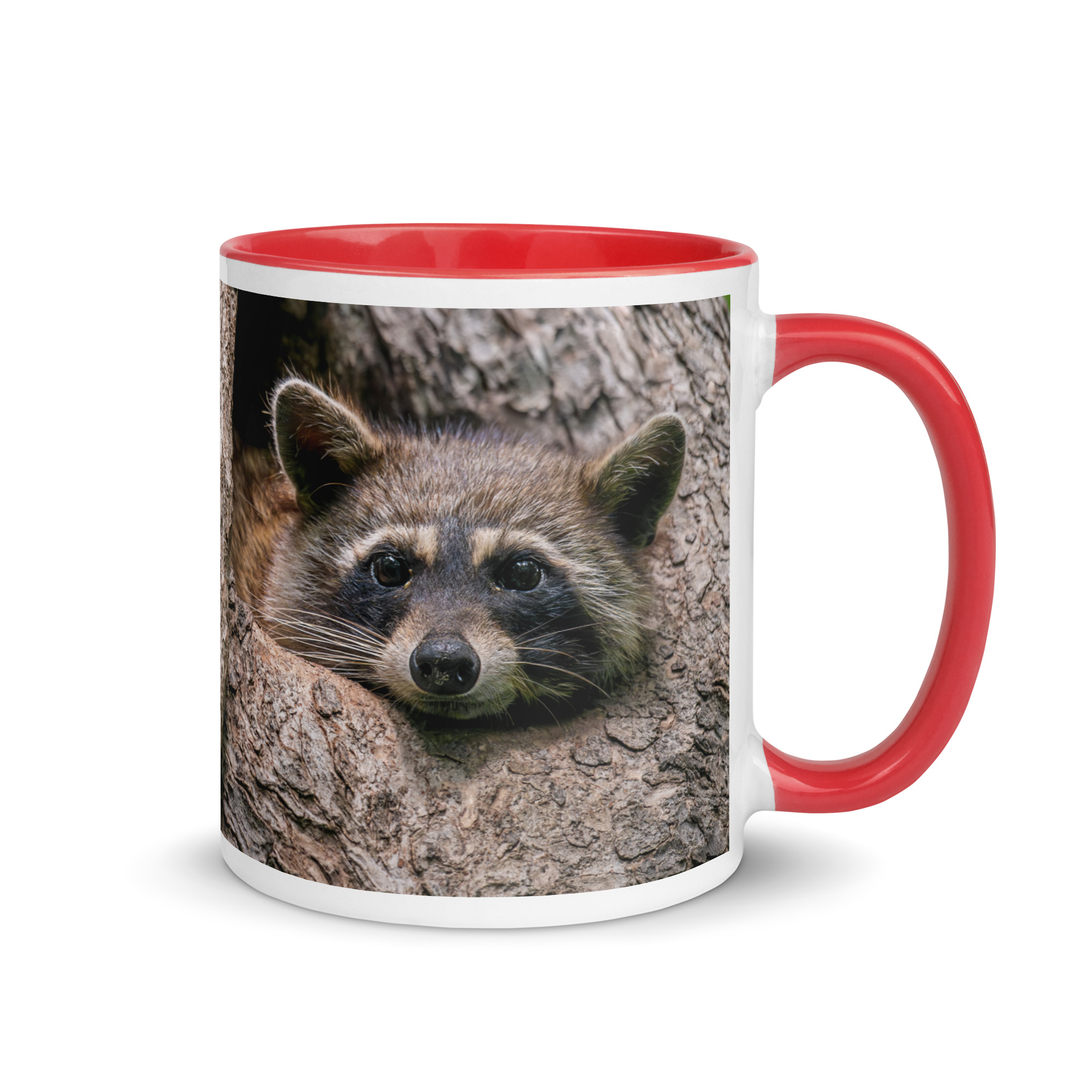 Curious Mama Racoon guarding its den! Mug with Color Inside