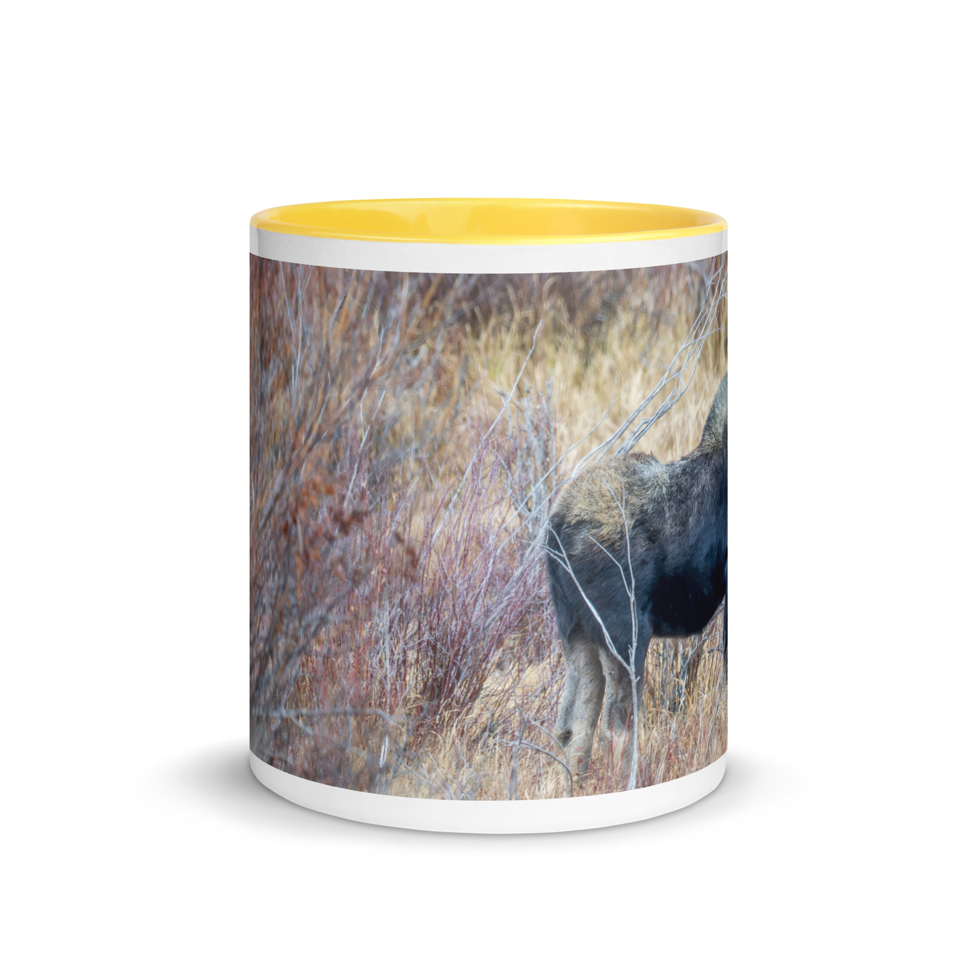 Moose Amidst Autumn Shrubs! Mug with Color Inside - Image 29