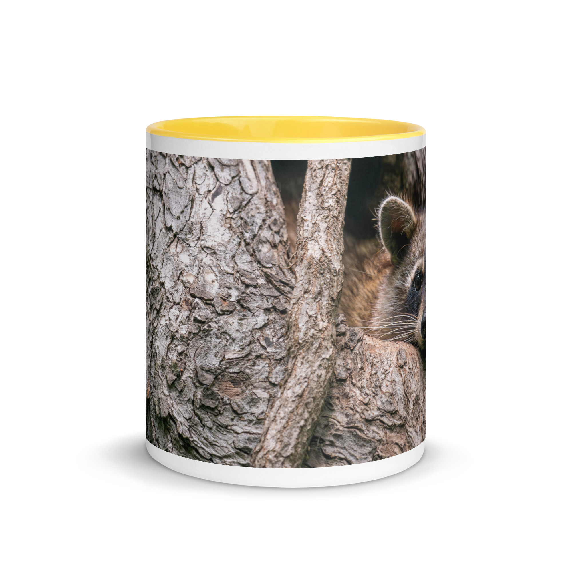 Curious Mama Racoon guarding its den! Mug with Color Inside - Image 29