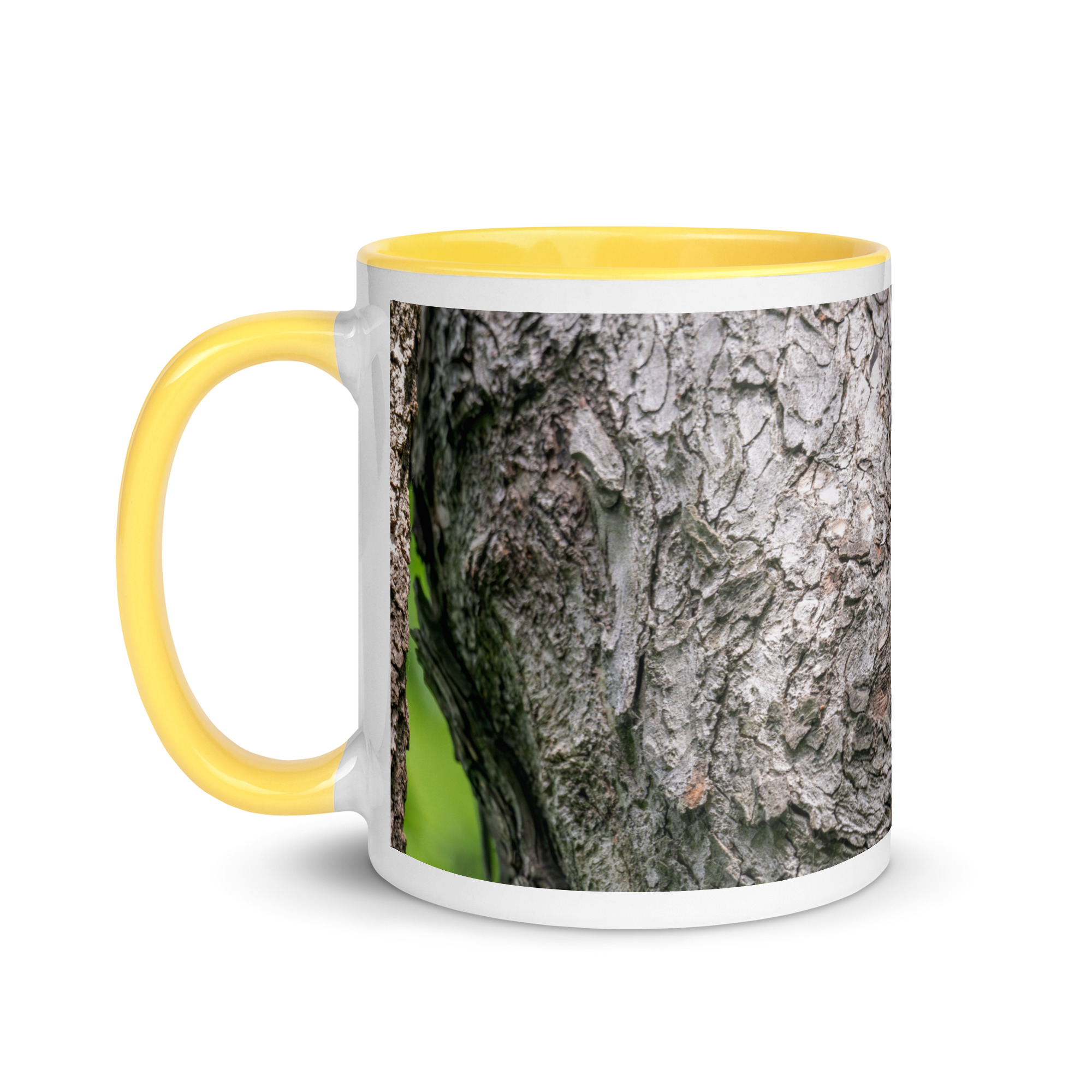 Curious Mama Racoon guarding its den! Mug with Color Inside - Image 30