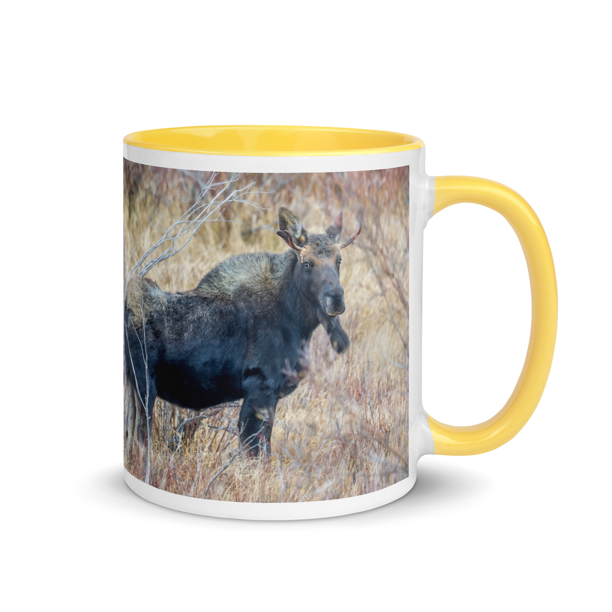 Moose Amidst Autumn Shrubs! Mug with Color Inside - Image 28