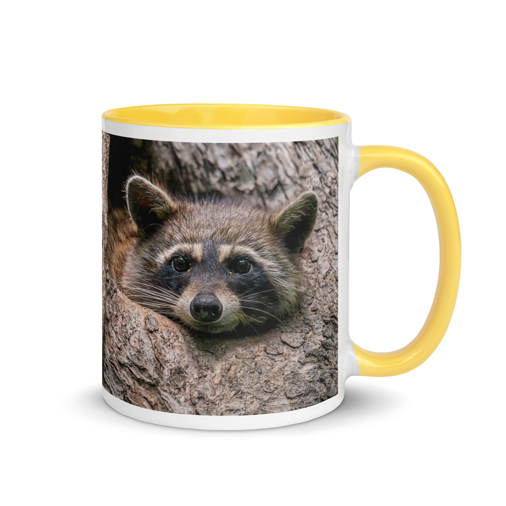 Curious Mama Racoon guarding its den! Mug with Color Inside - Image 28