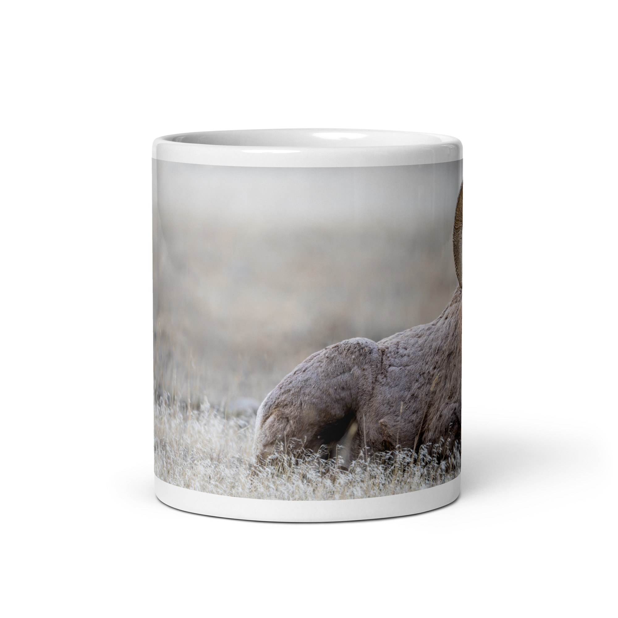 Relaxing Ram Big Horn Sheep! White glossy mug - Image 3