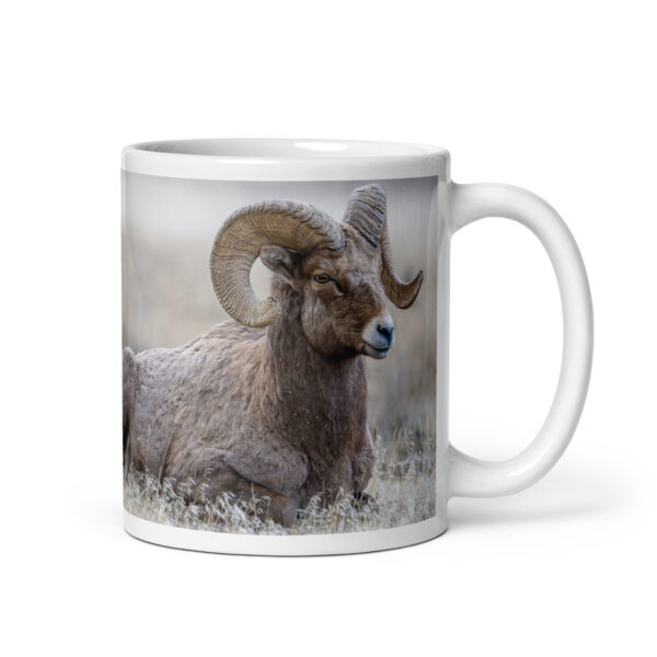 Relaxing Ram Big Horn Sheep! White glossy mug