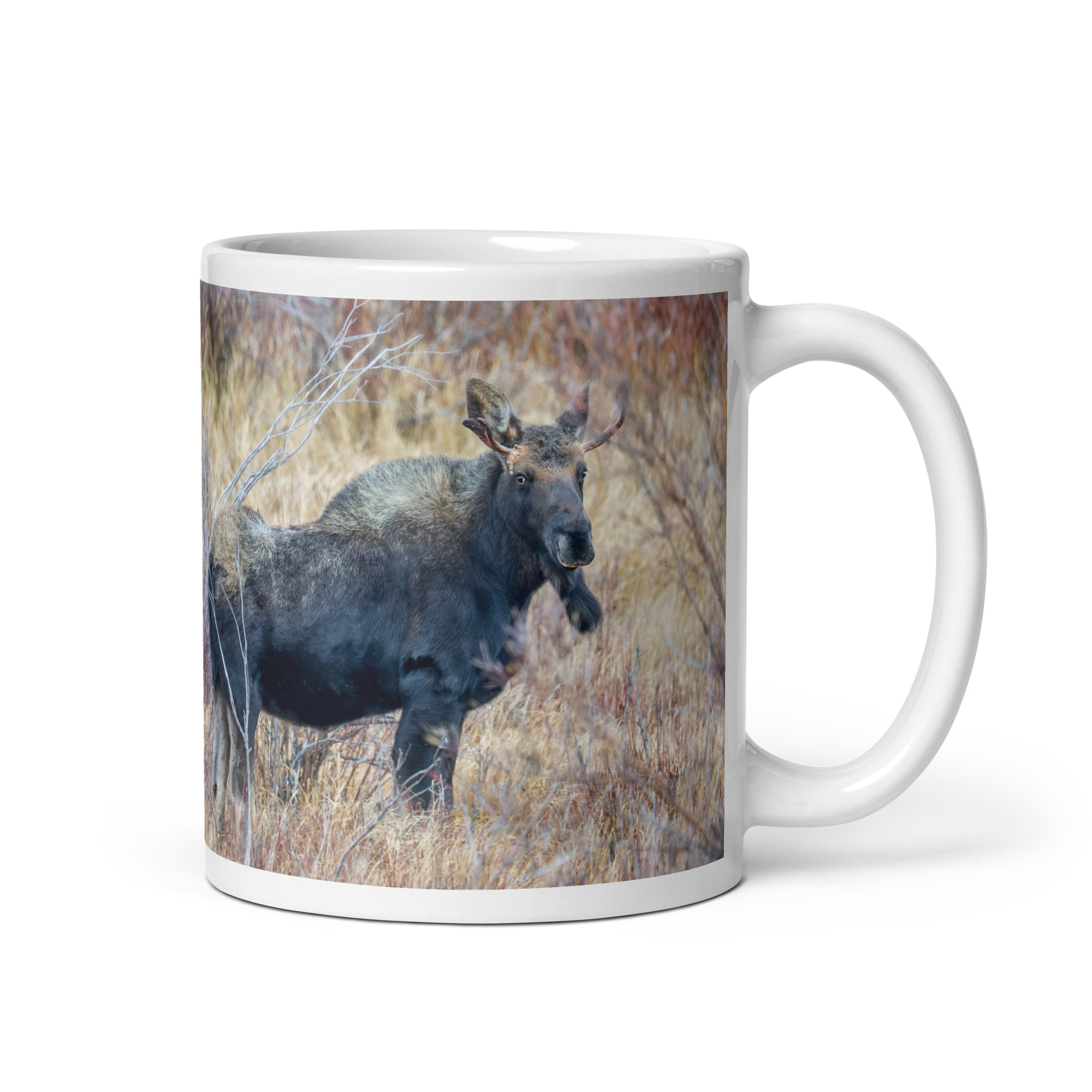 Moose Amidst Autumn Shrubs! White glossy mug