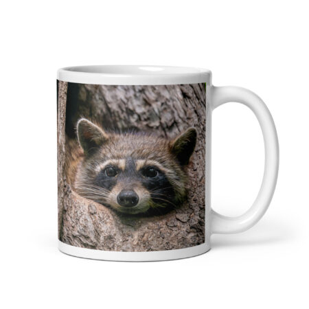 Curious Mama Racoon guarding its den! White glossy mug