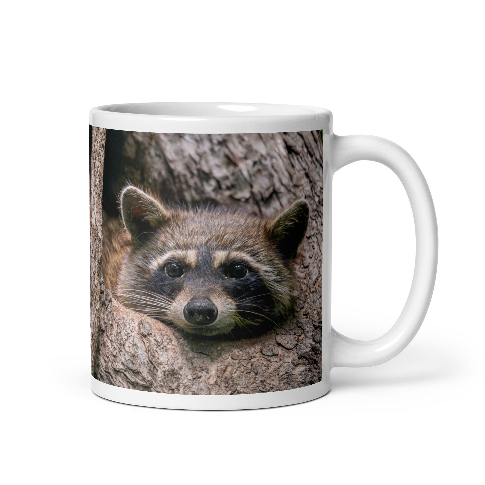 Curious Mama Racoon guarding its den! White glossy mug