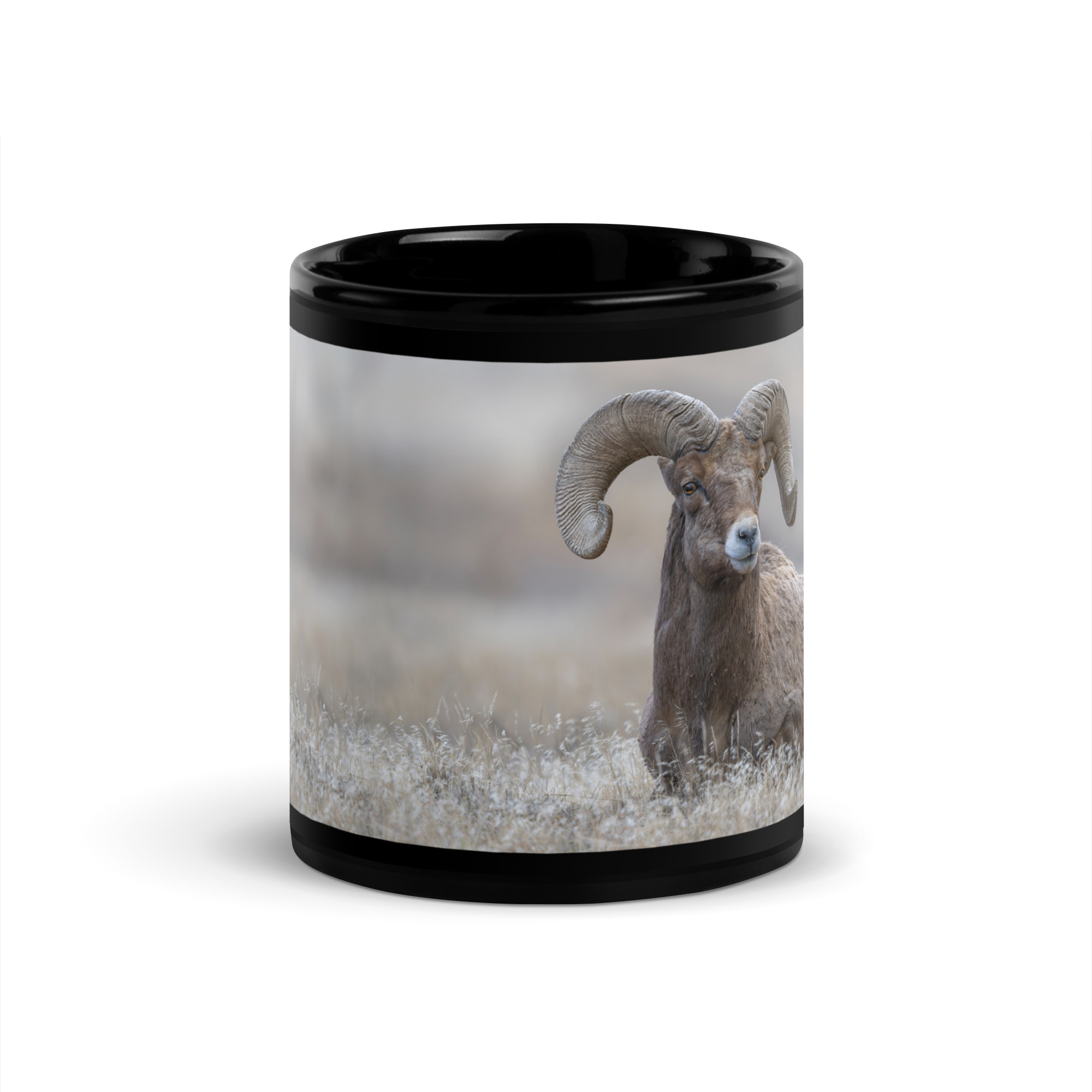 Monarch of Montana Meadows! Black Glossy Mug - Image 3