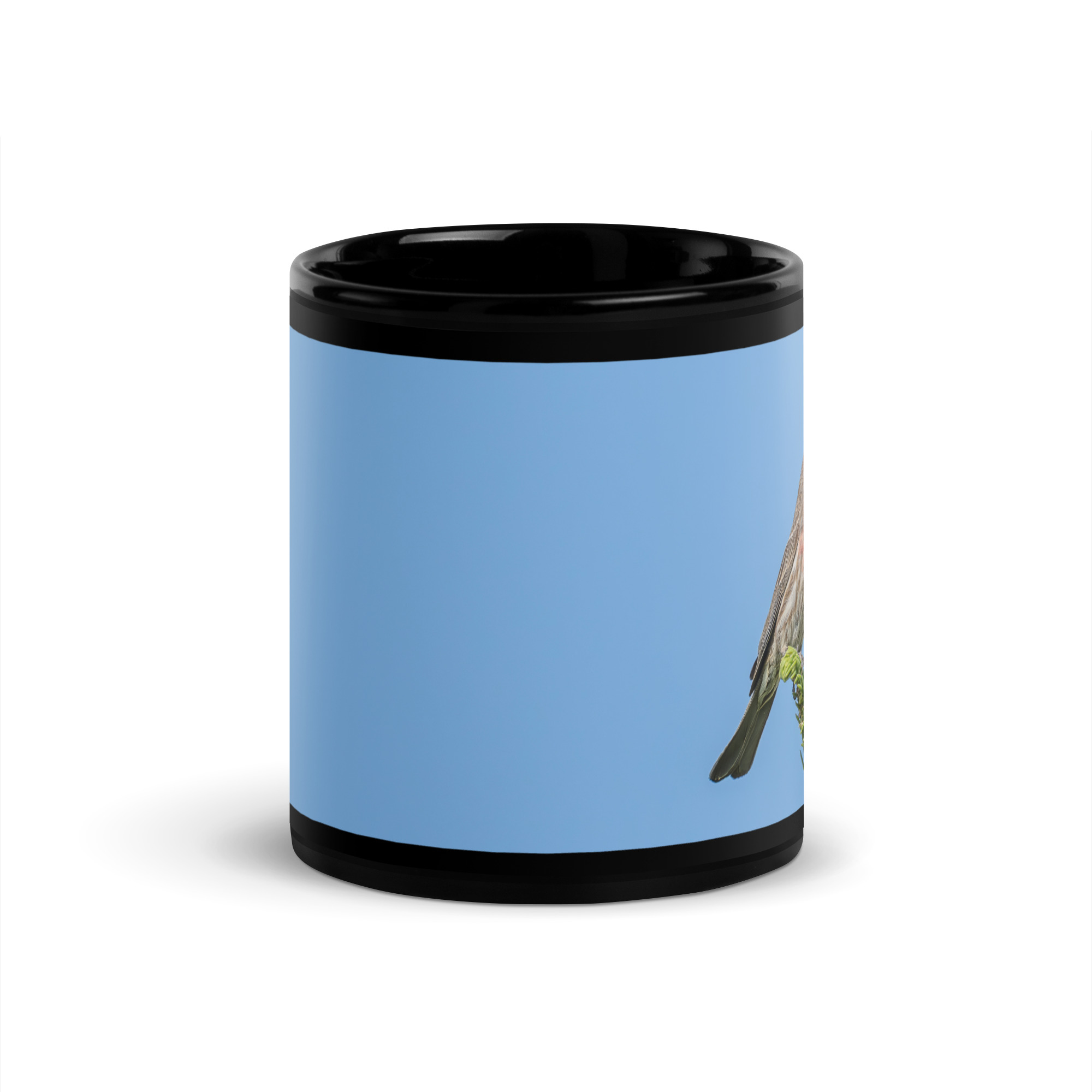 Male House Finch! Black Glossy Mug - Image 3