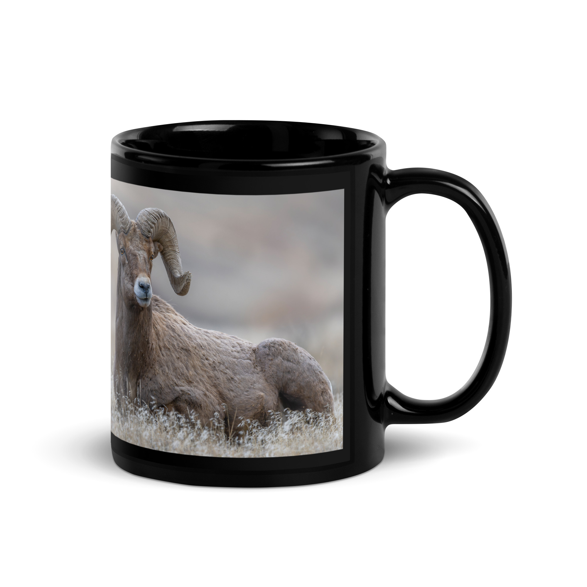 Monarch of Montana Meadows! Black Glossy Mug