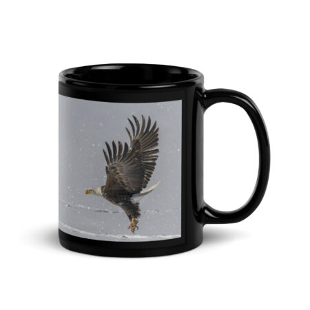Bald eagle hunting in snow! Black Glossy Mug