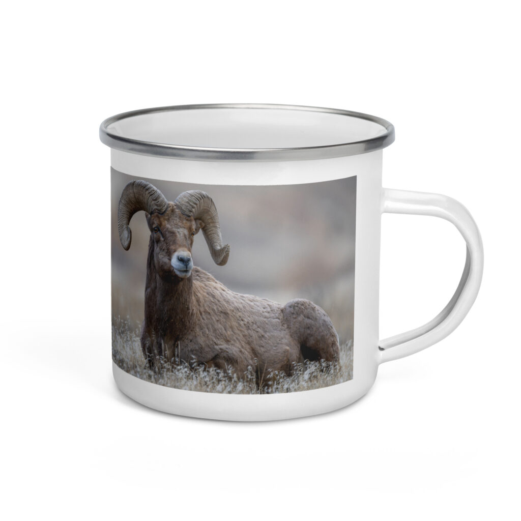 Monarch of Montana Meadows! Enamel Mug