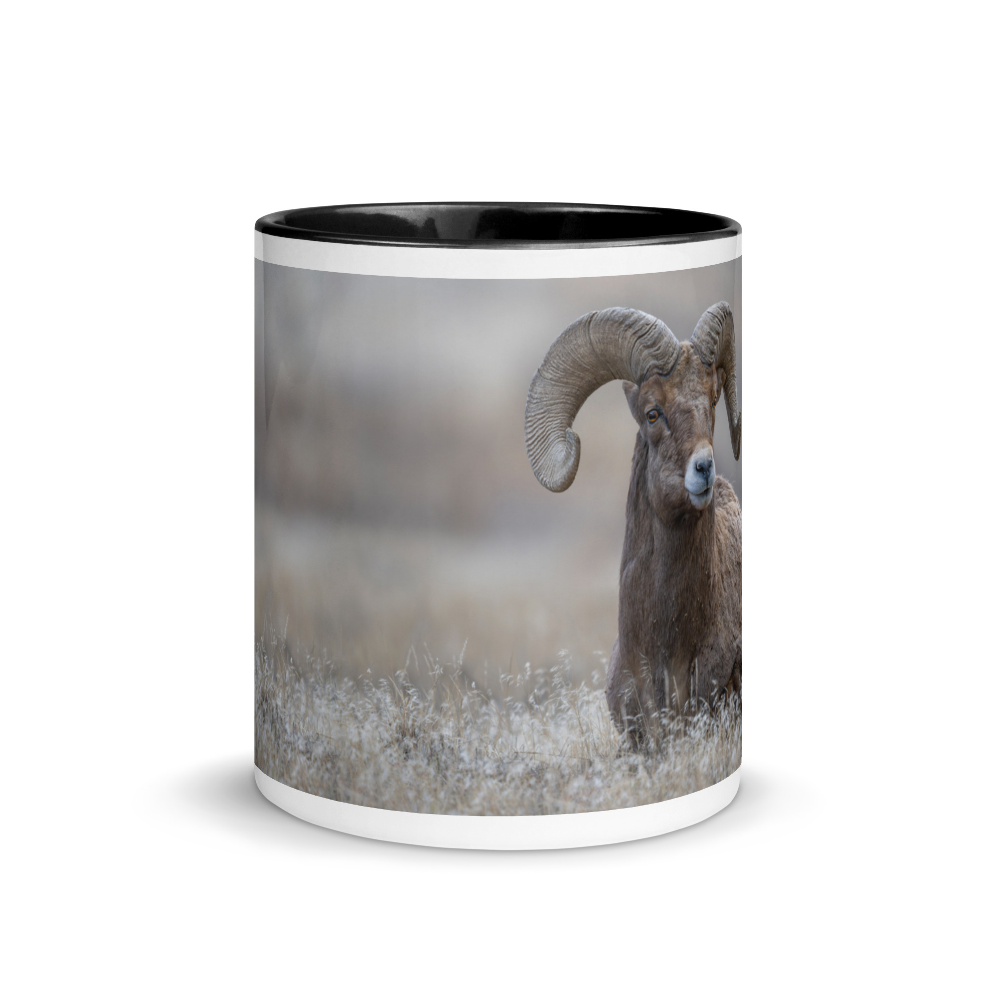 Monarch of Montana Meadows! Mug with Color Inside - Image 3