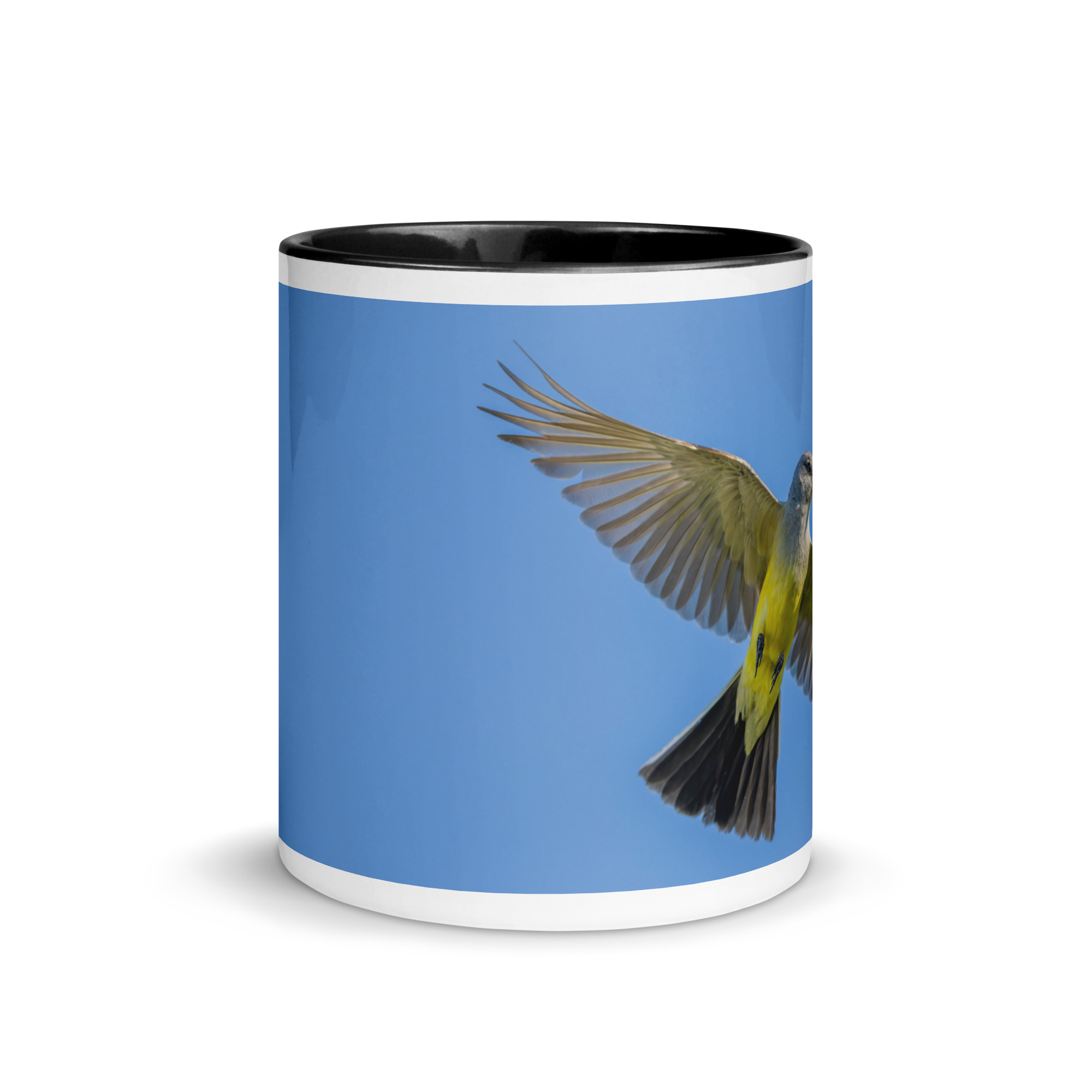 Western kingbird in flight! Mug with Color Inside - Image 3