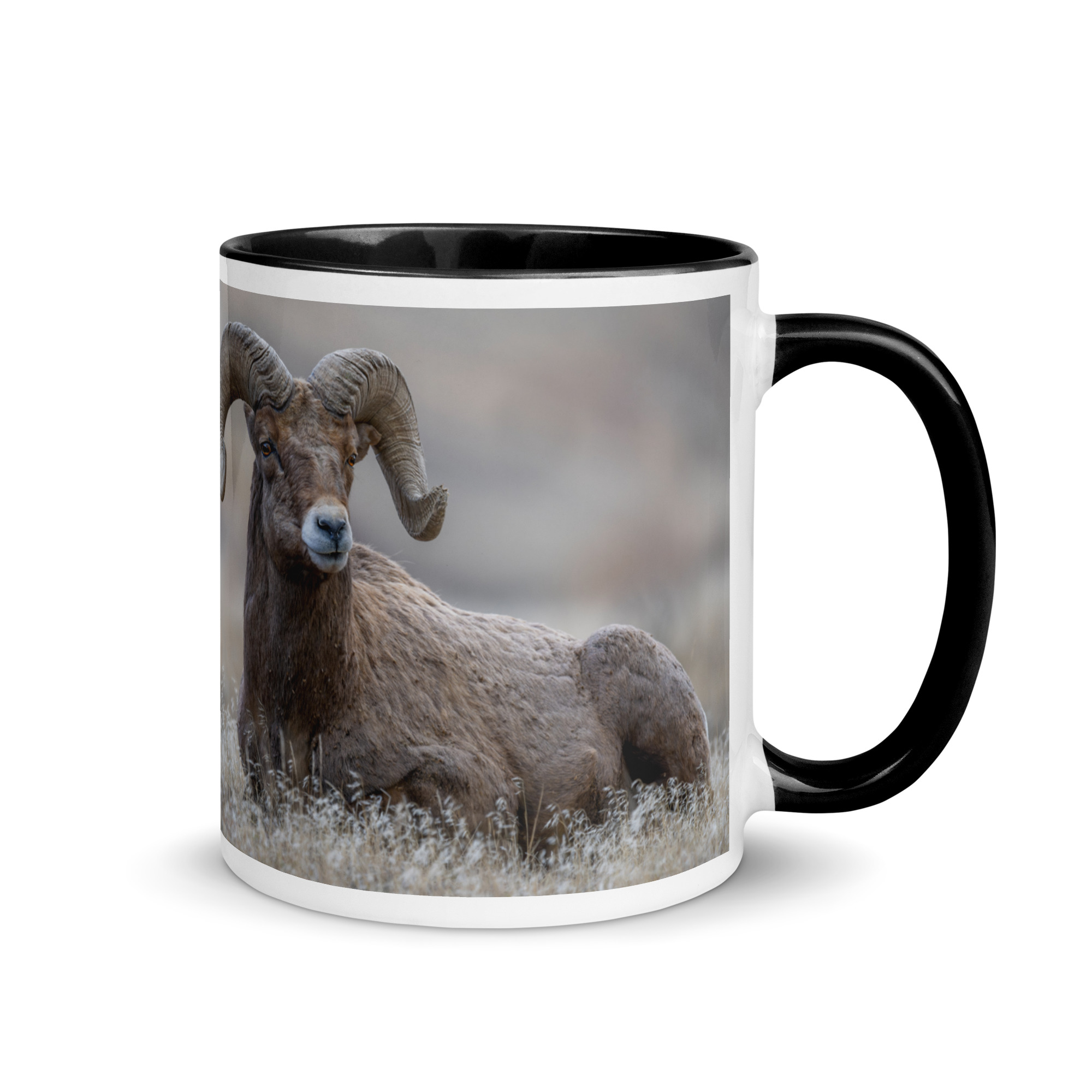Monarch of Montana Meadows! Mug with Color Inside - Image 2