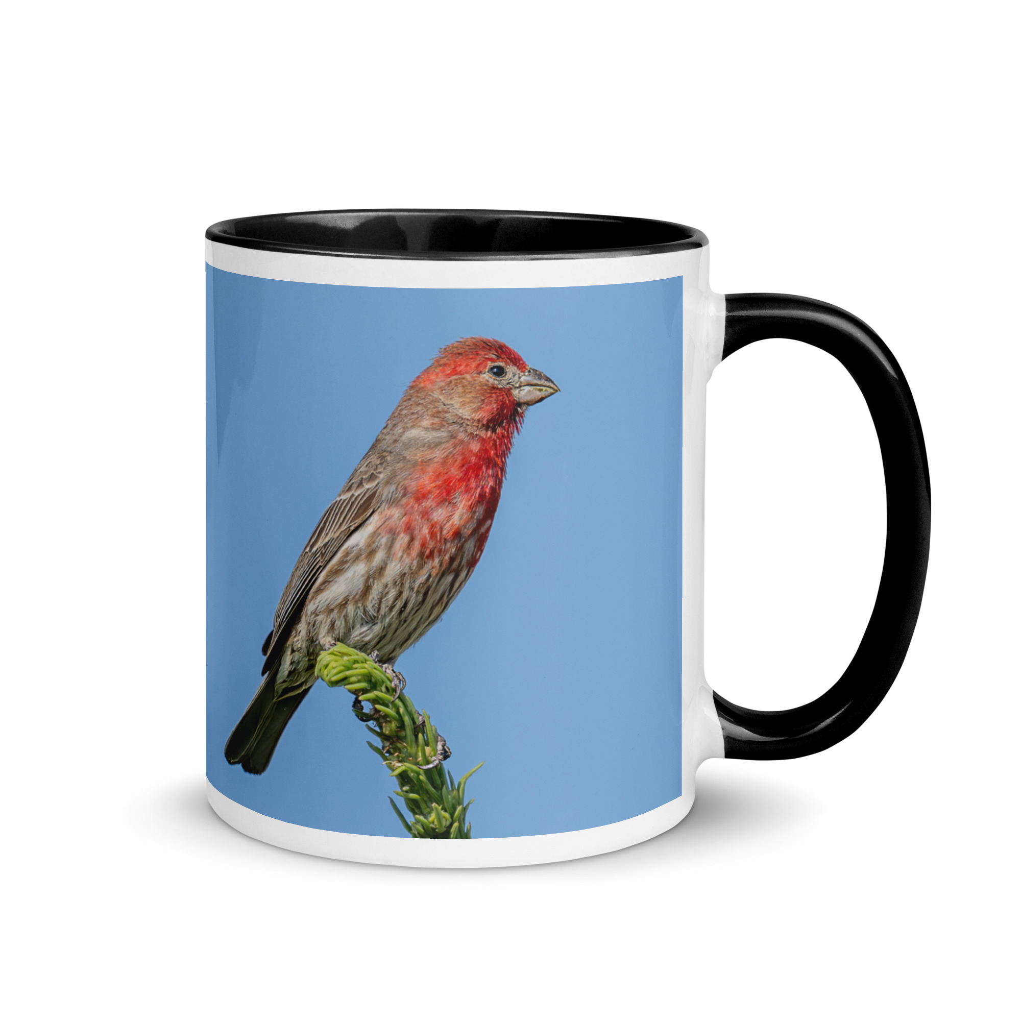 Male House Finch! Mug with Color Inside - Image 2
