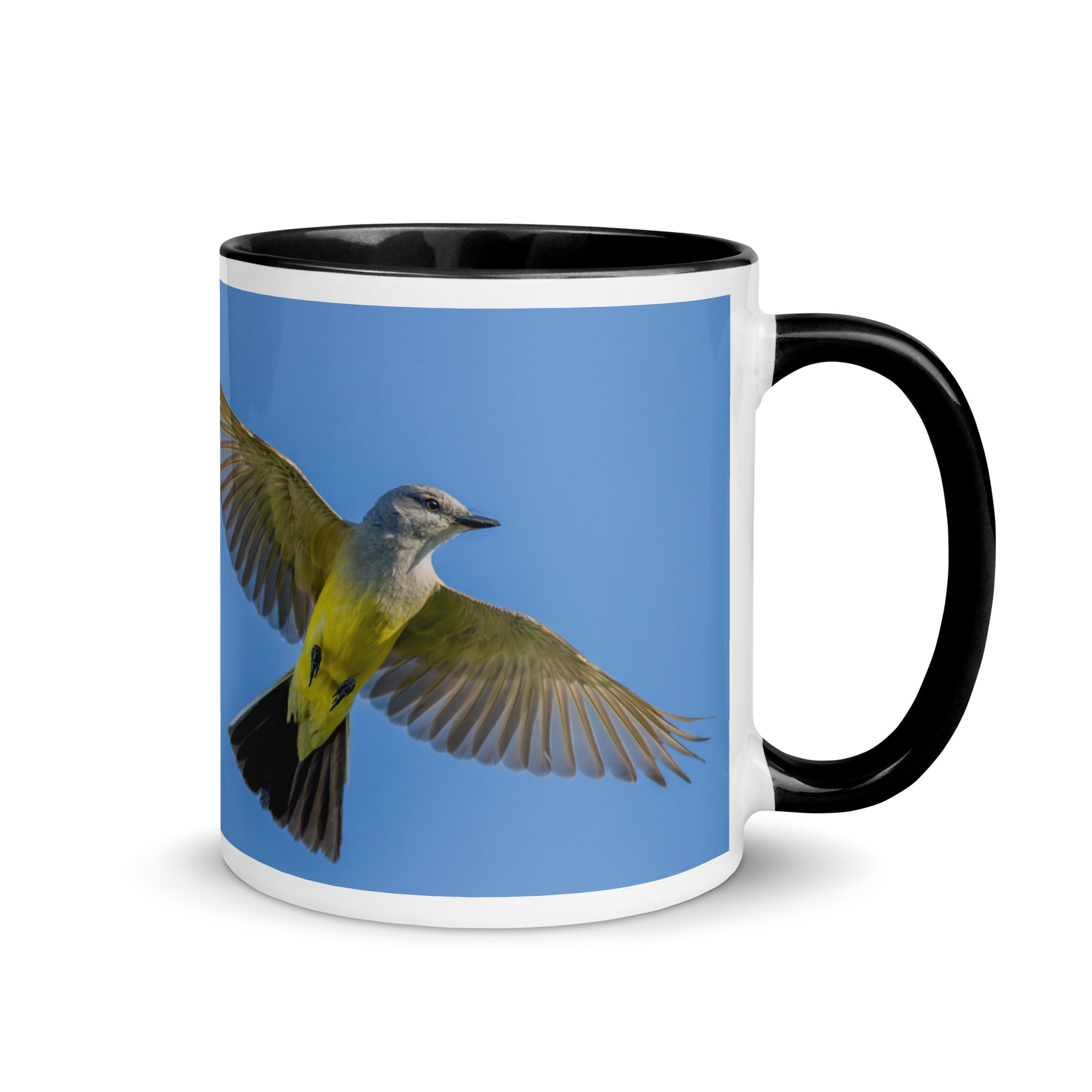 Western kingbird in flight! Mug with Color Inside - Image 2
