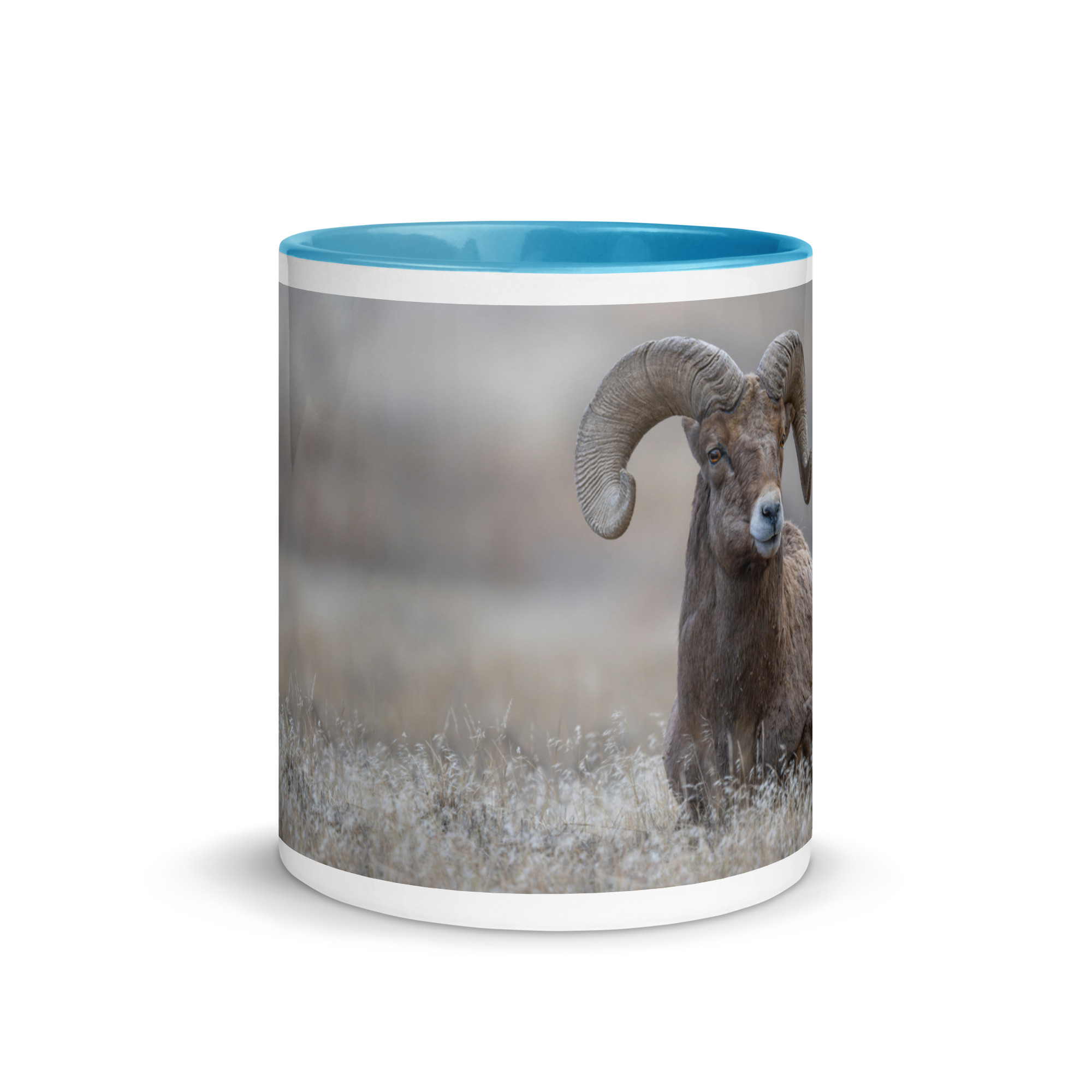 Monarch of Montana Meadows! Mug with Color Inside - Image 17