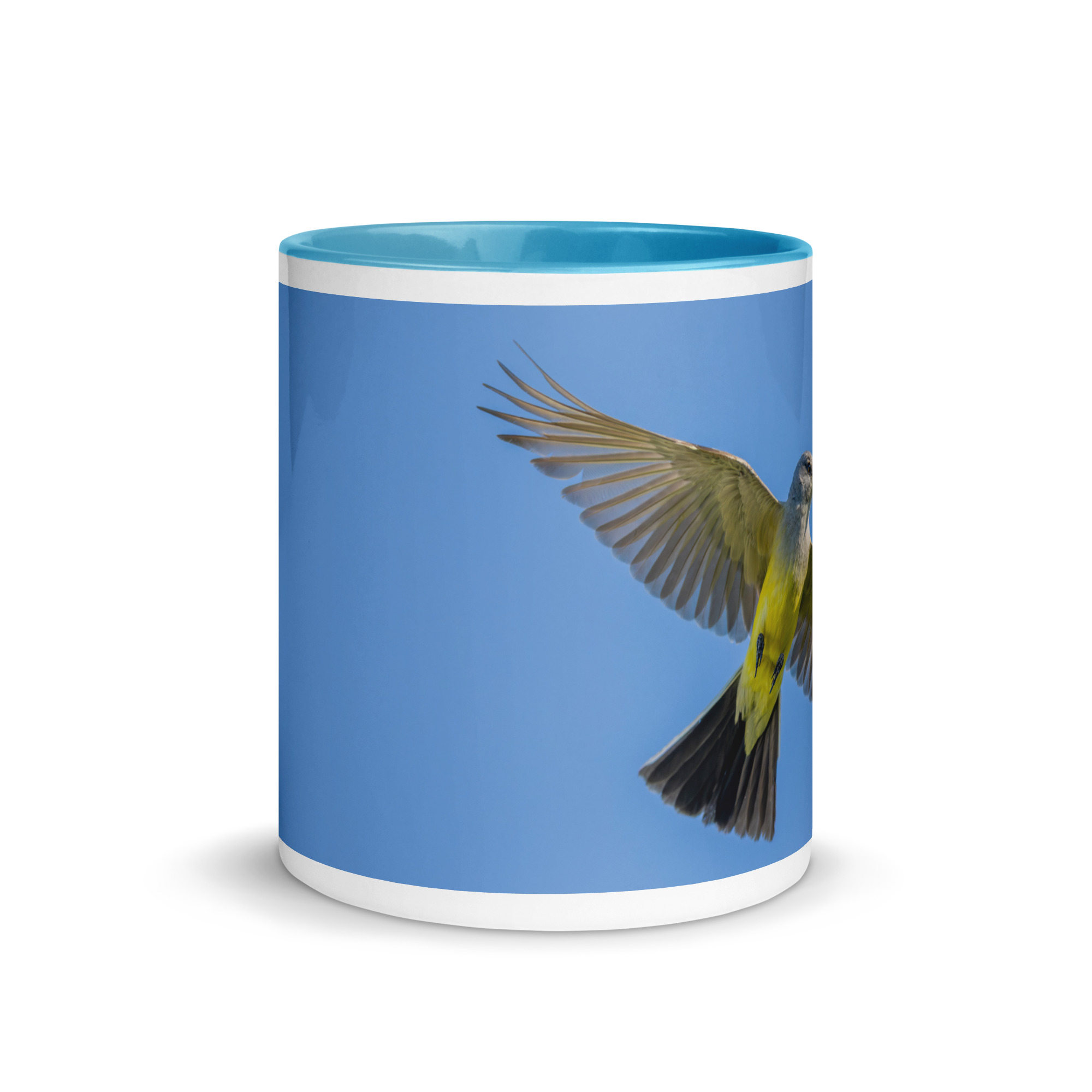 Western kingbird in flight! Mug with Color Inside - Image 17