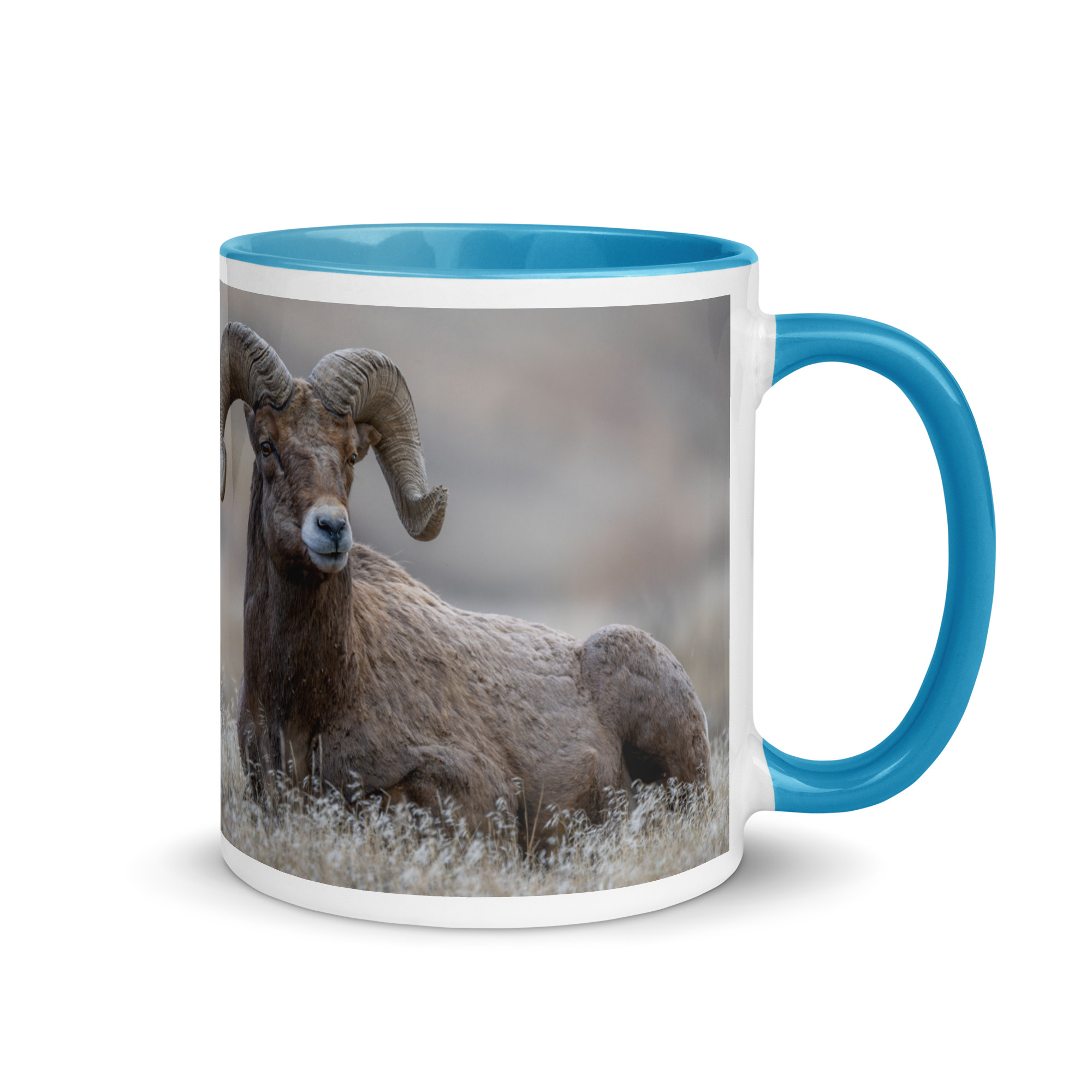 Monarch of Montana Meadows! Mug with Color Inside - Image 16