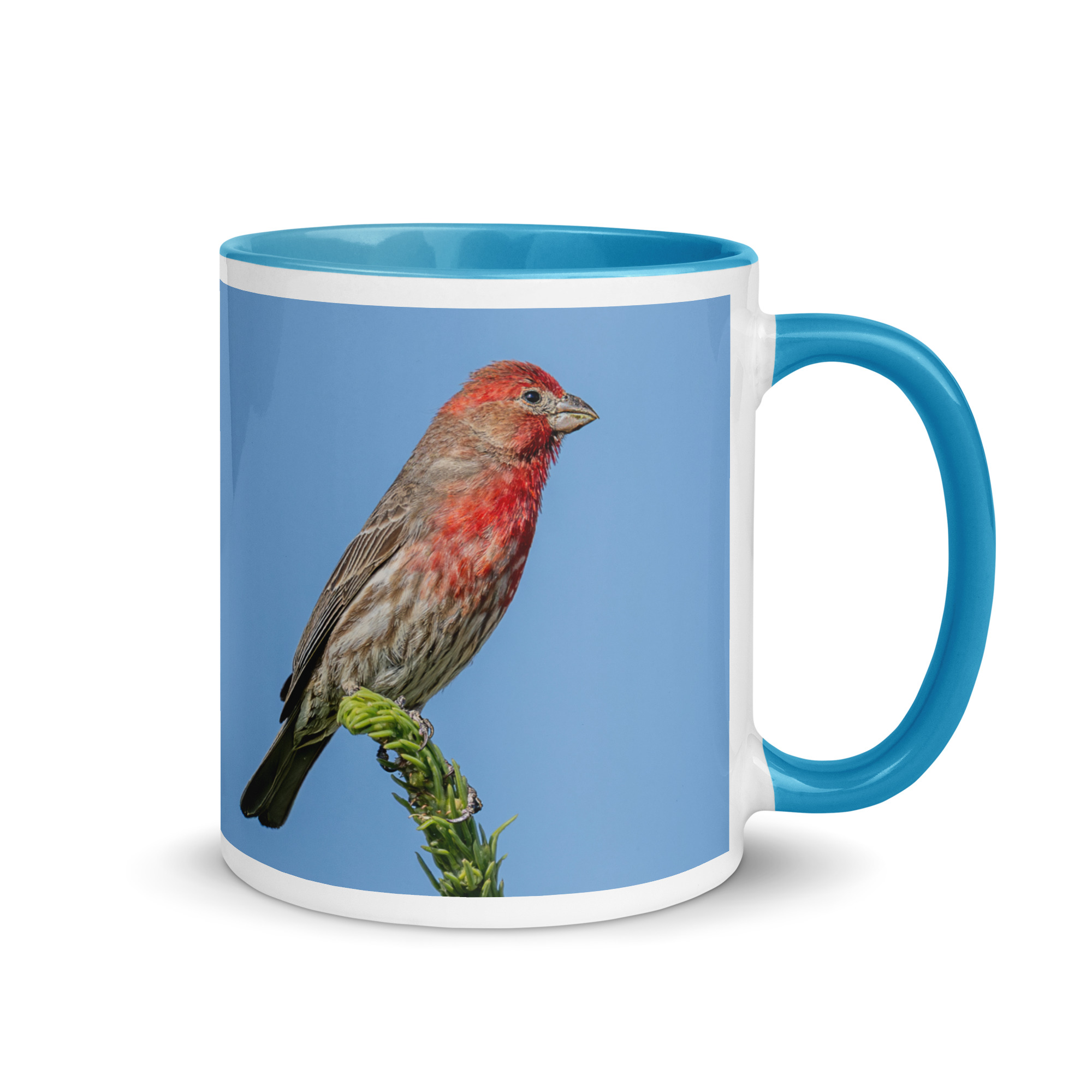 Male House Finch! Mug with Color Inside - Image 16