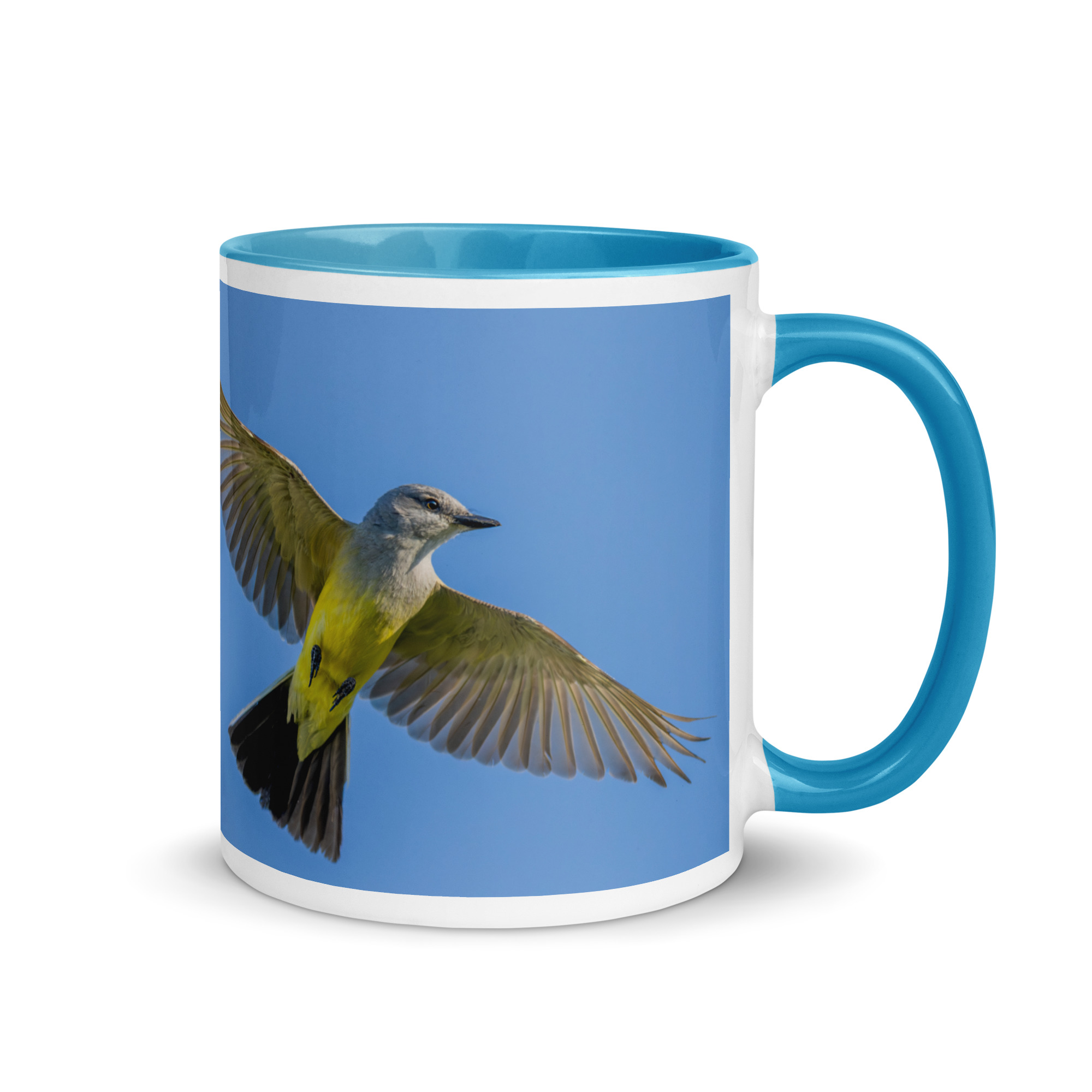 Western kingbird in flight! Mug with Color Inside - Image 16